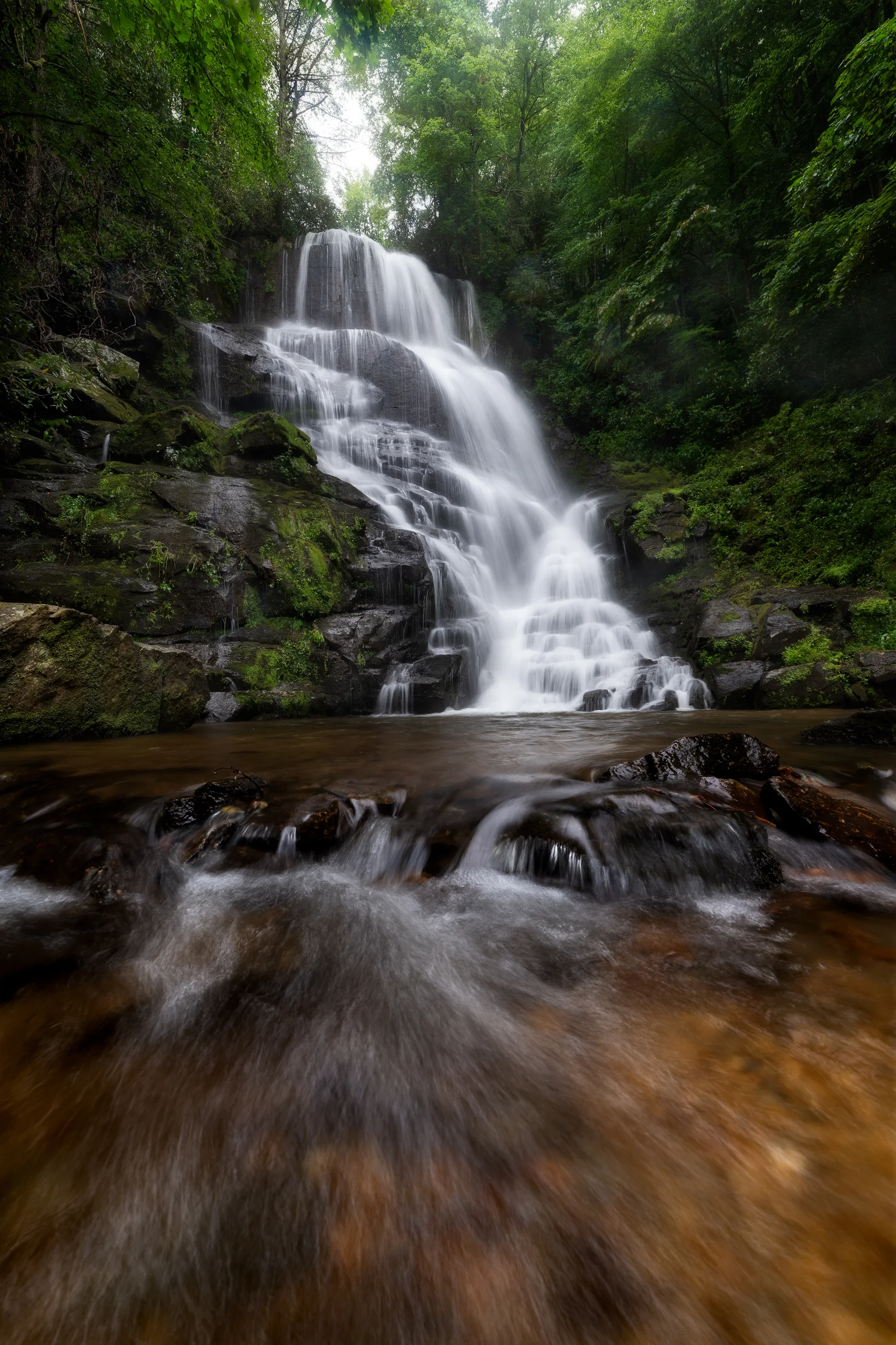 Carolina Cascades 