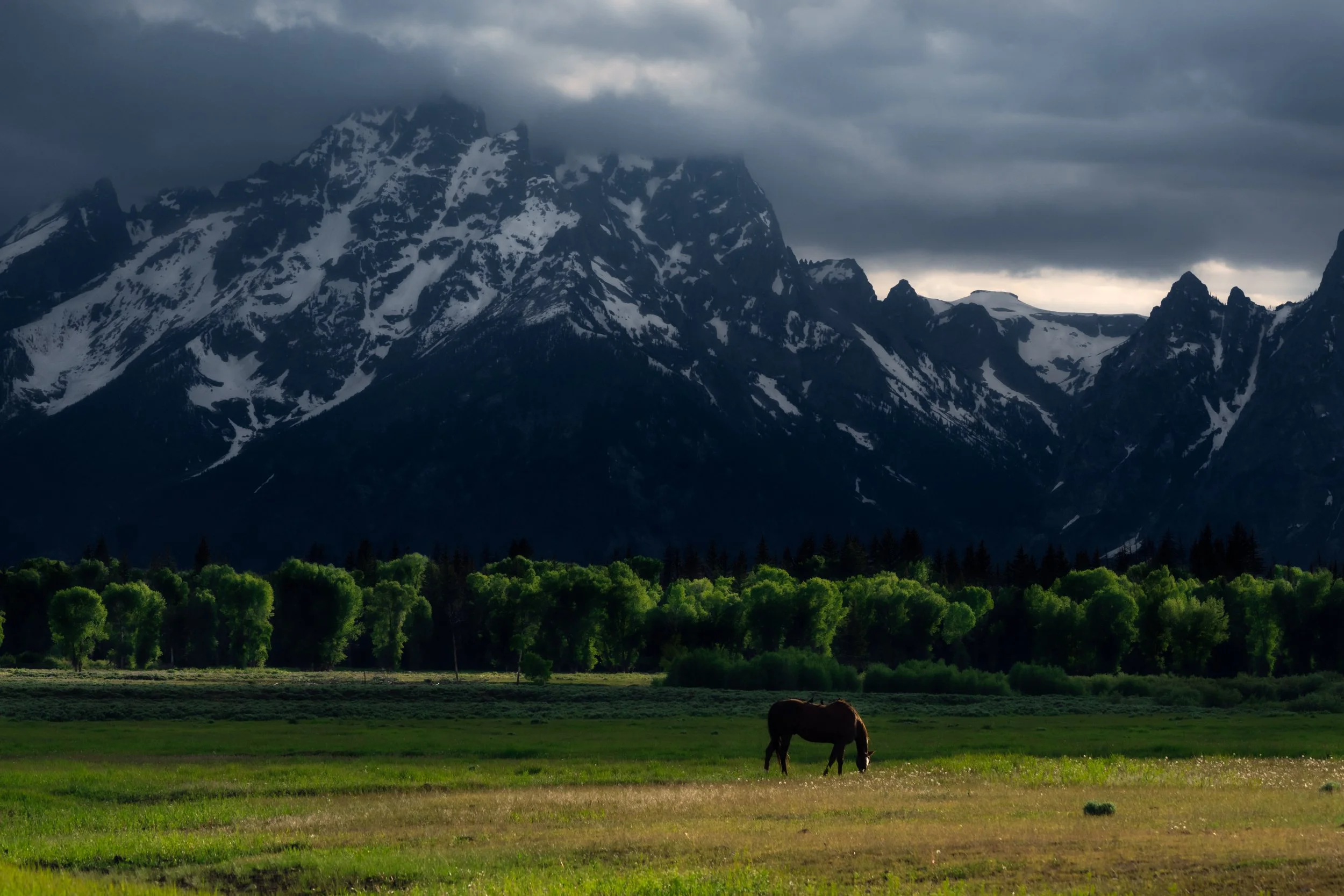 tetons_horse.JPG