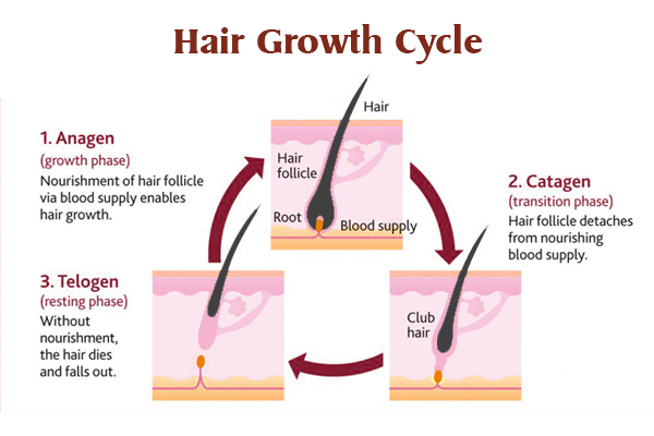 5 Reasons Hemp Beard Oil is Beardiful — Australian Hemp Skincare Products