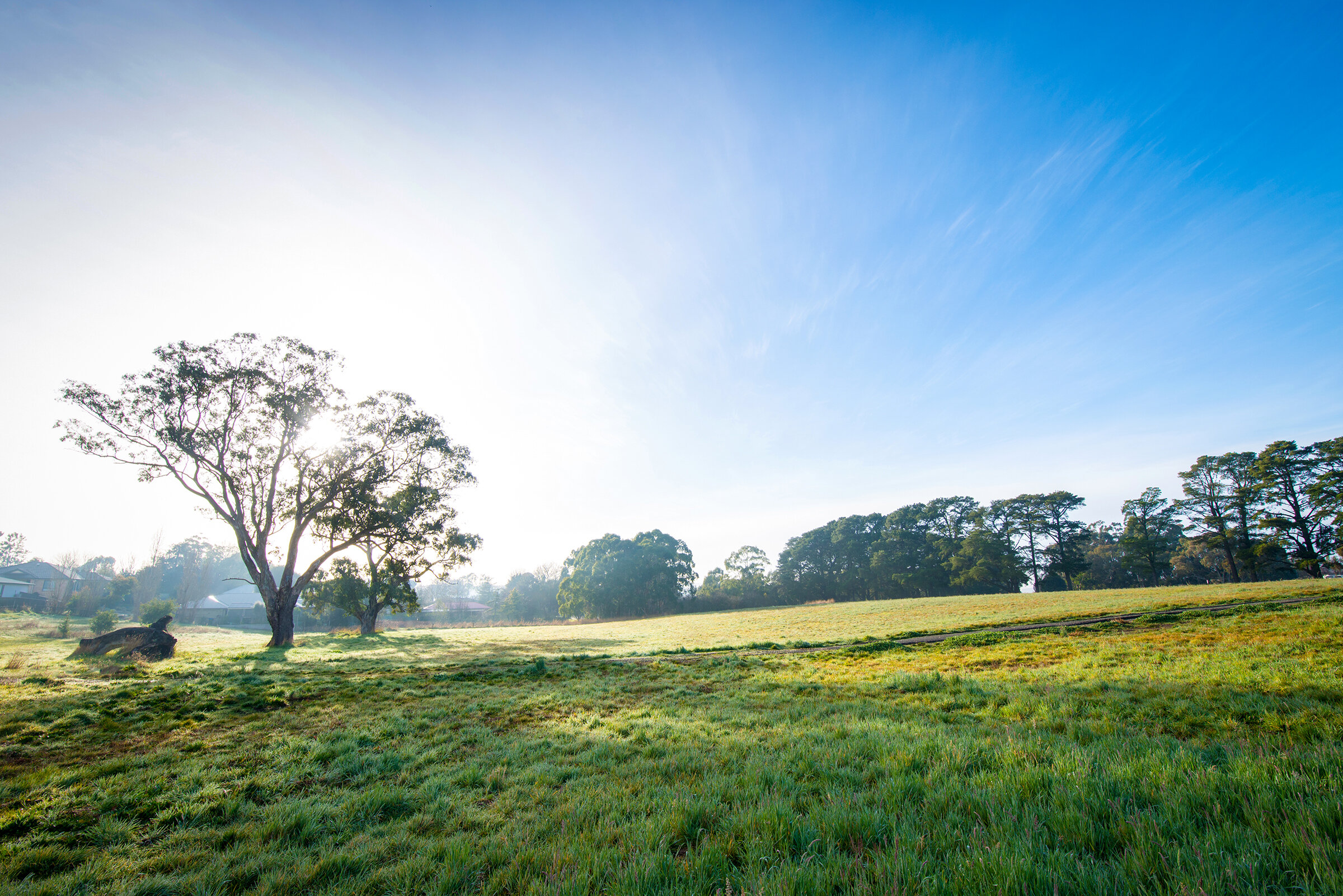 dawn-location-landscape.jpg