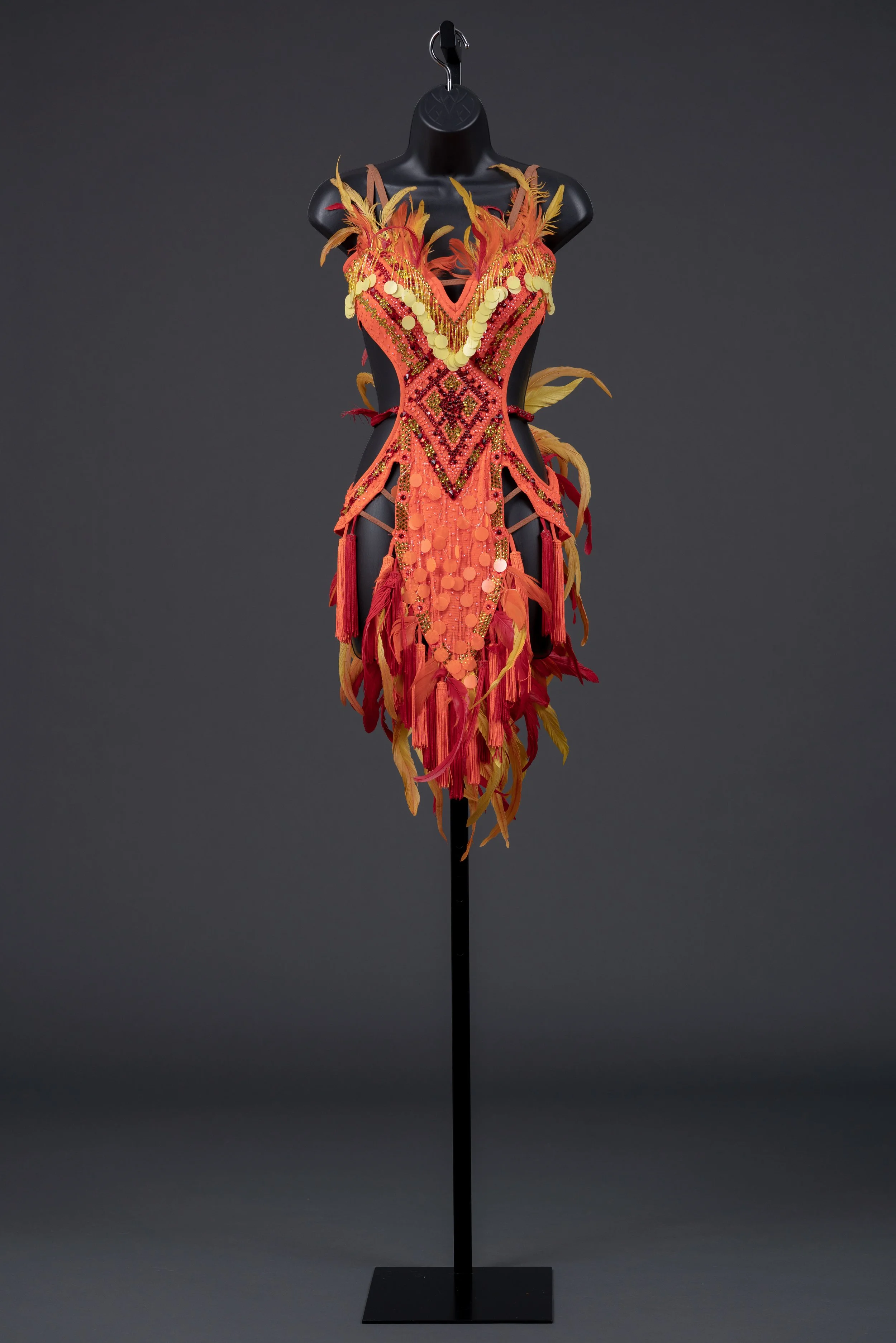 Orange Latin with Orange, Red, and Yellow Feathers