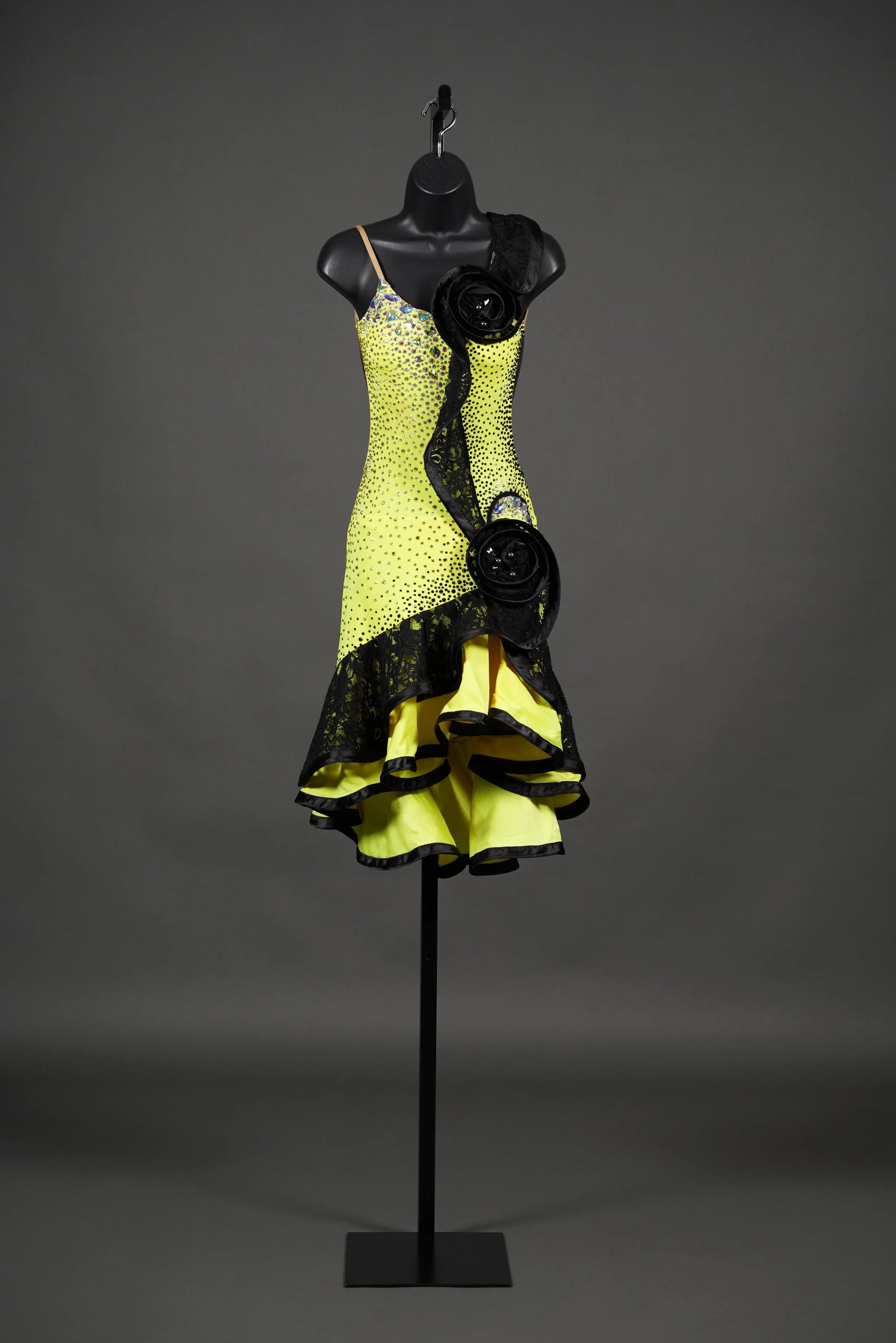 Yellow and Black Latin