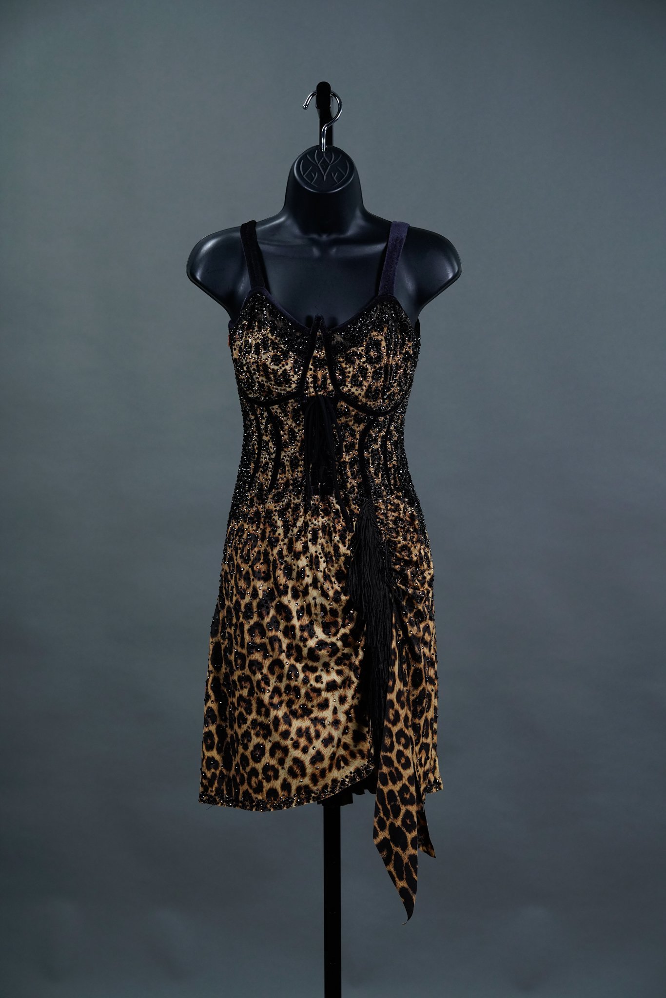 Cheetah Latin