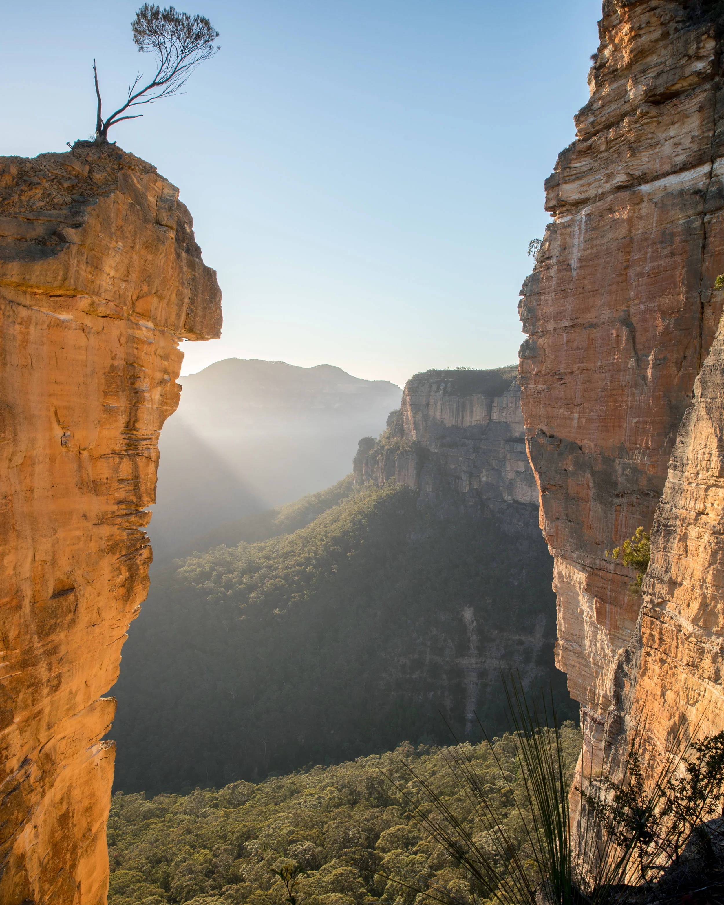 Hanging Rock Blue Mountans-.jpg