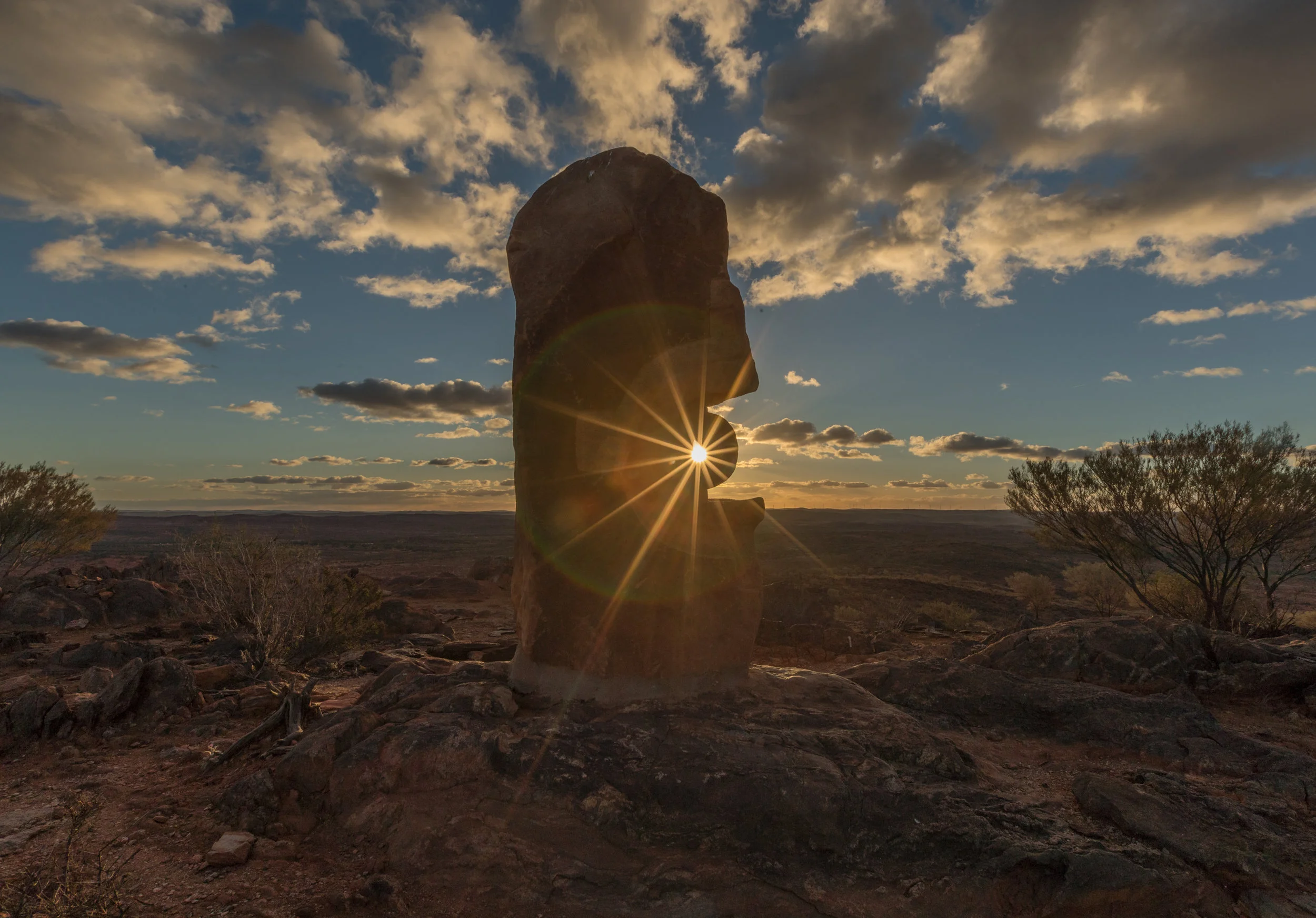 Living Desert a-4153.jpg