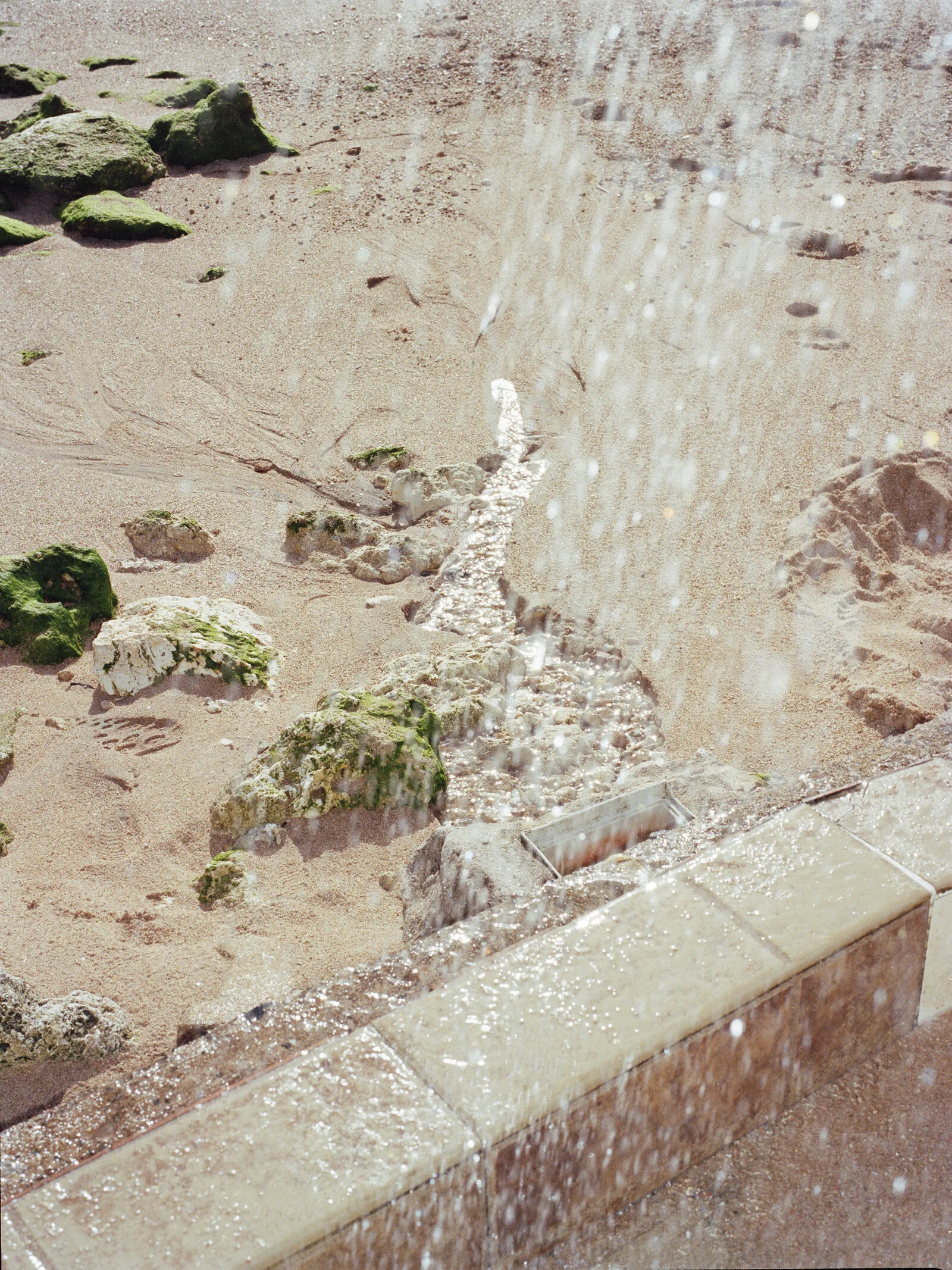 0084_002_copy.jpg