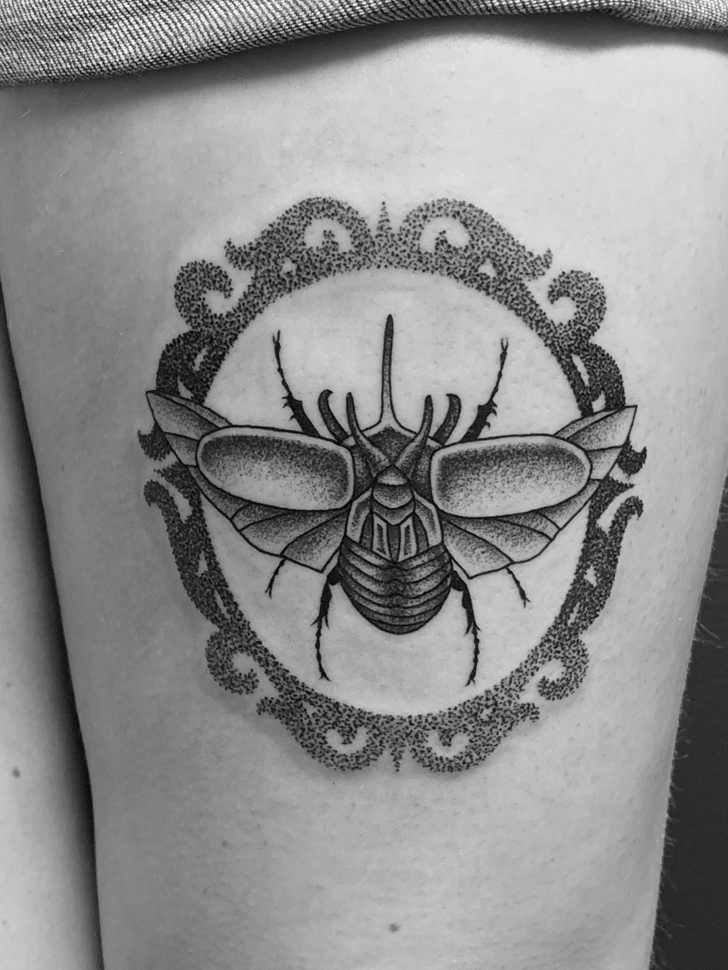 Top 71 Best Cicada Tattoo Ideas  2021 Inspiration Guide