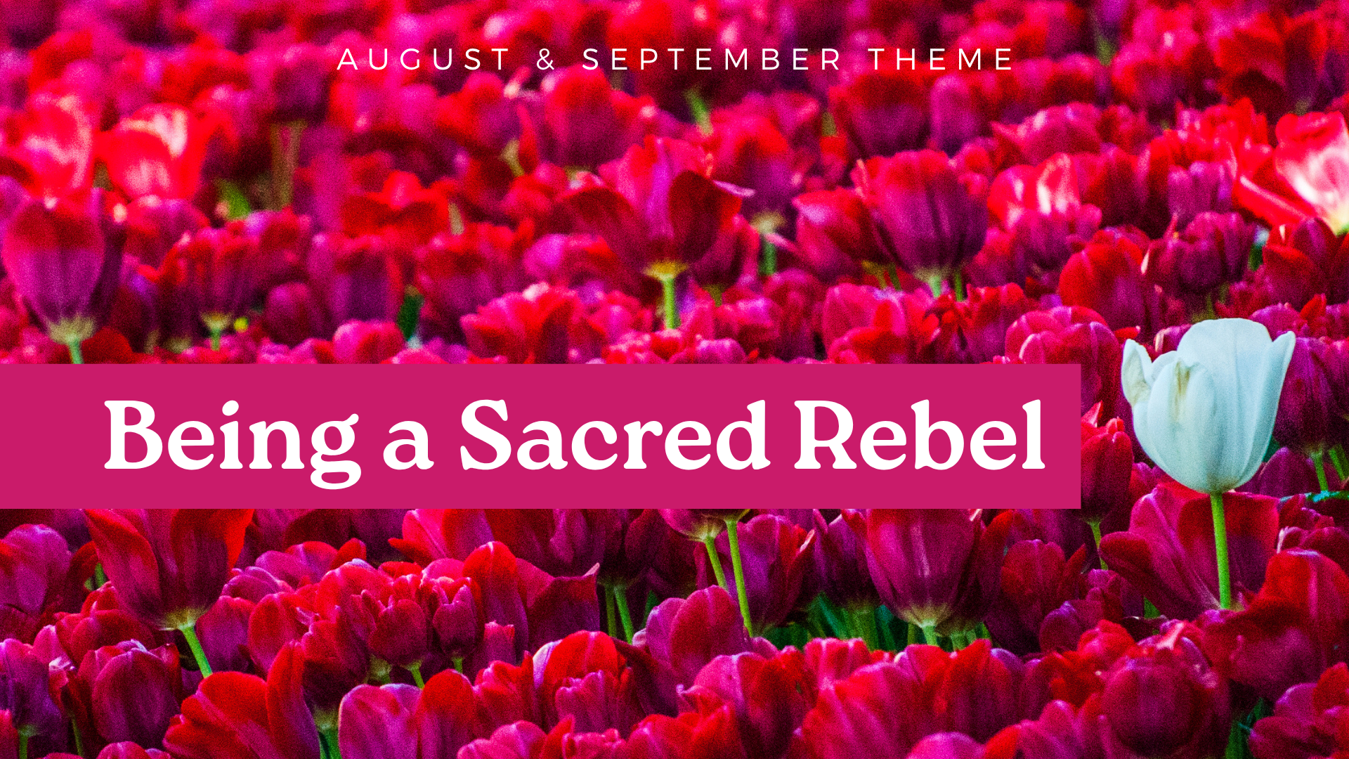 September 6, 2026: The Strength of Surrender