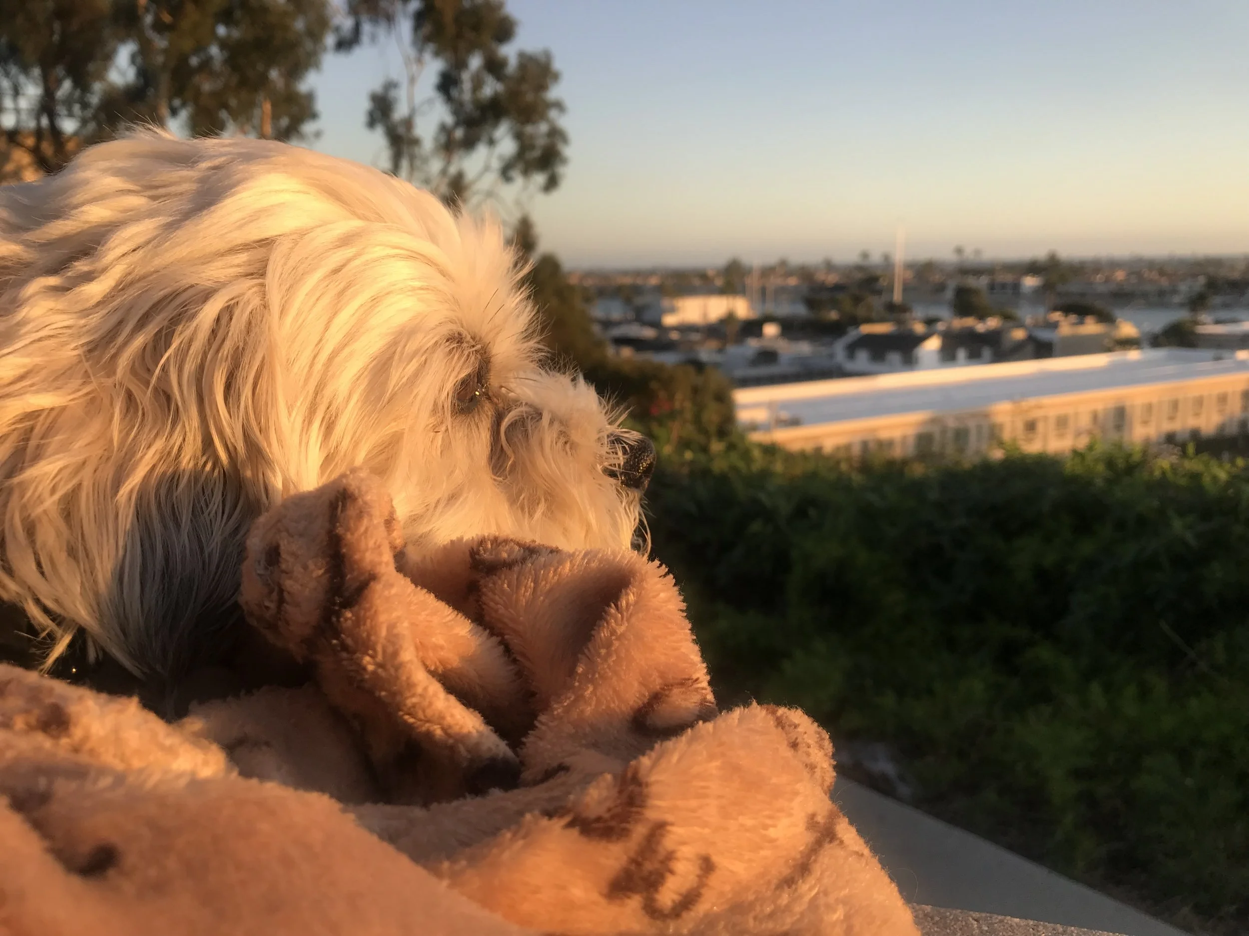 10 Tips for Dealing with Grief + Loss