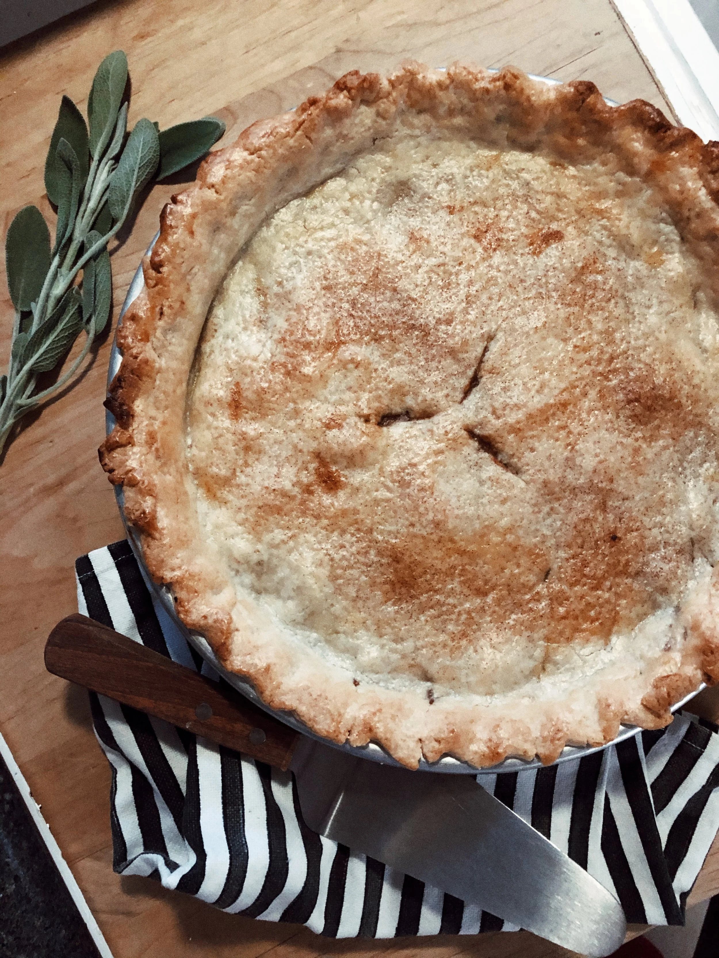 Healthy Autumn Chicken Pot Pie with Sage + Butternut Squash (with Dairy-Free, Gluten-Free + Paleo Options!)