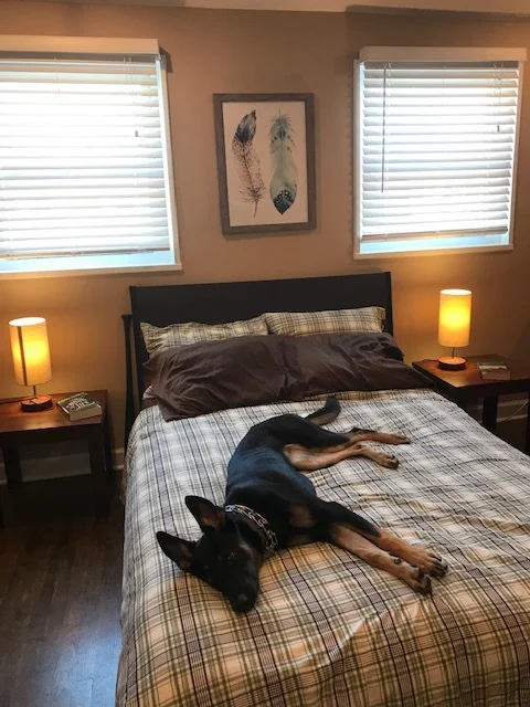 Command Position 101