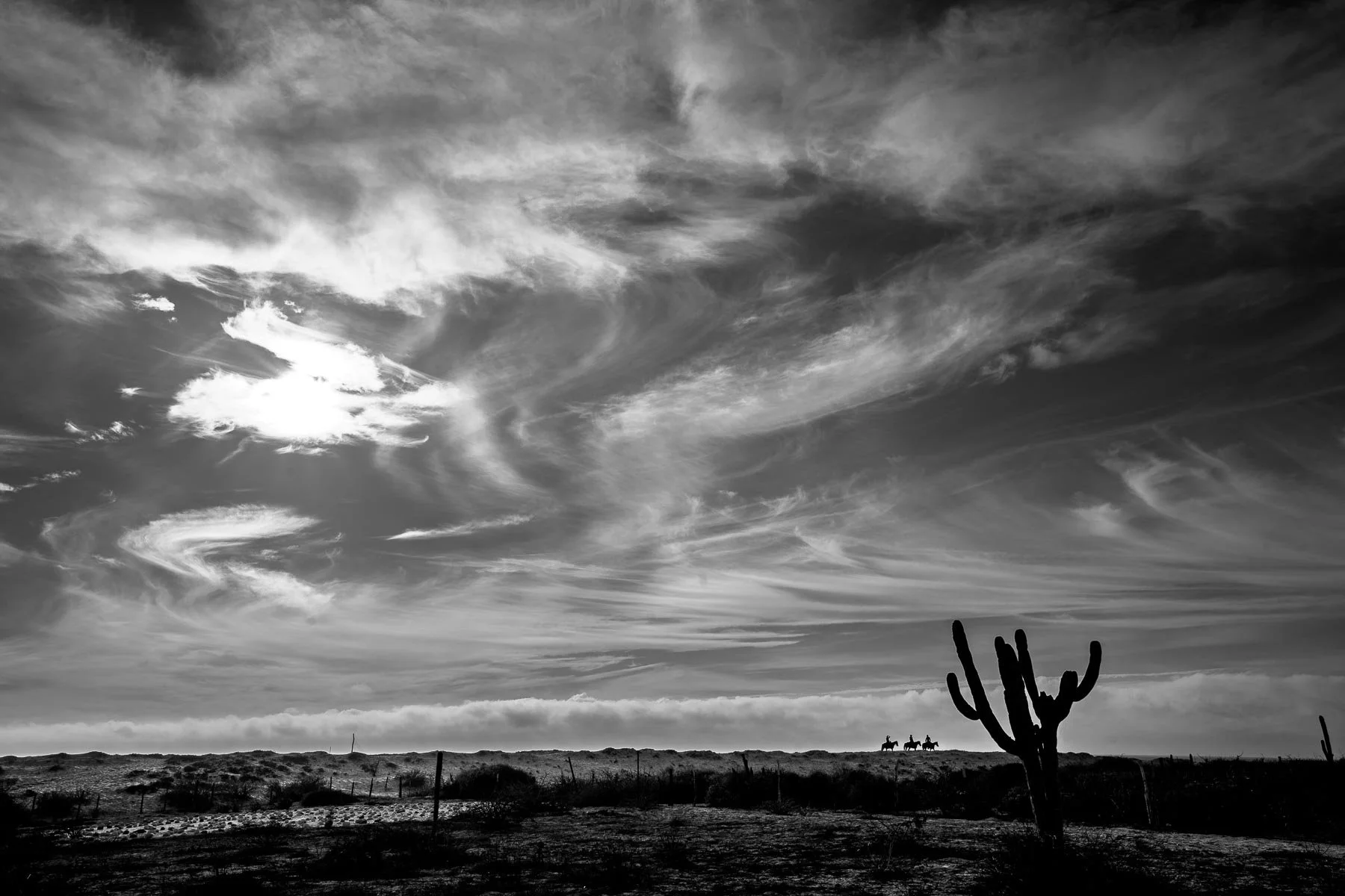 baja california  sunset.jpg