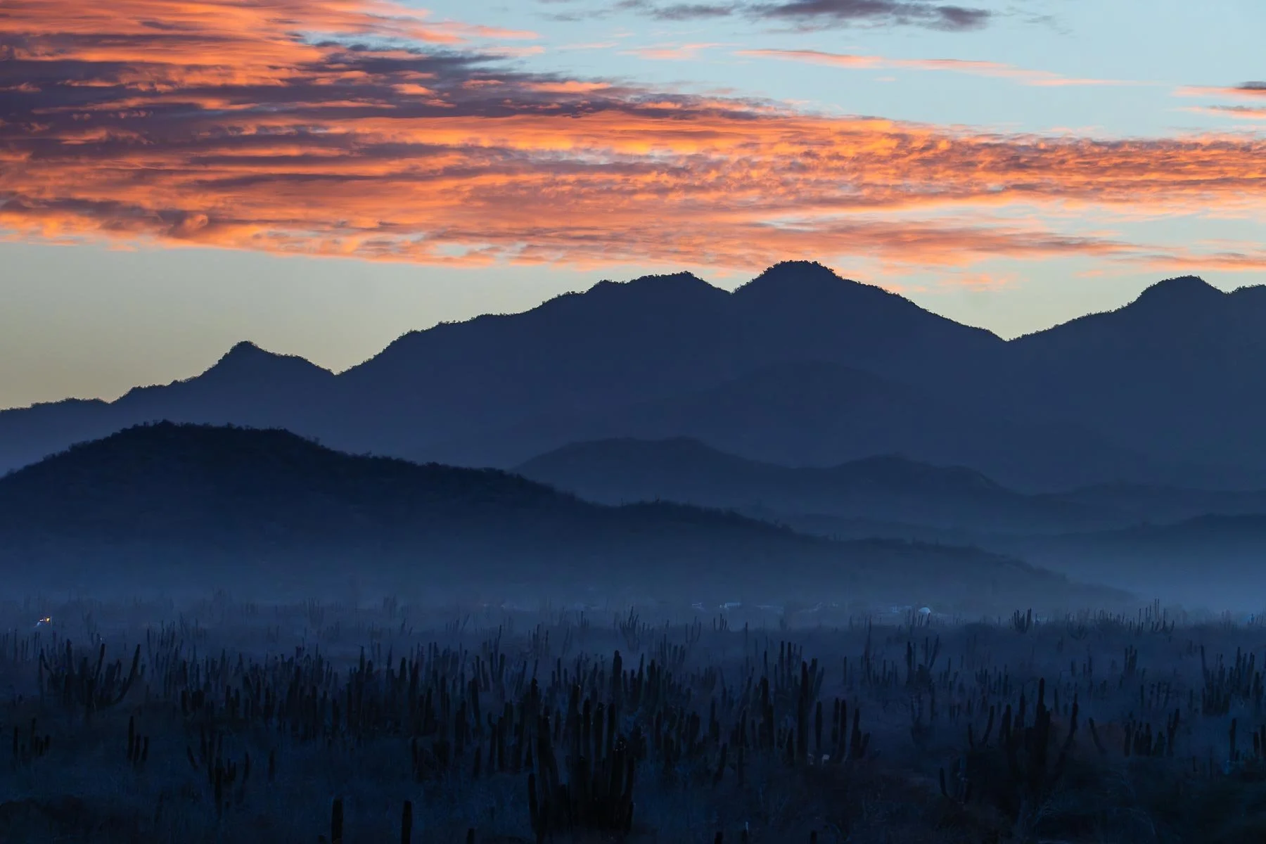 baja california dawn 2.jpg