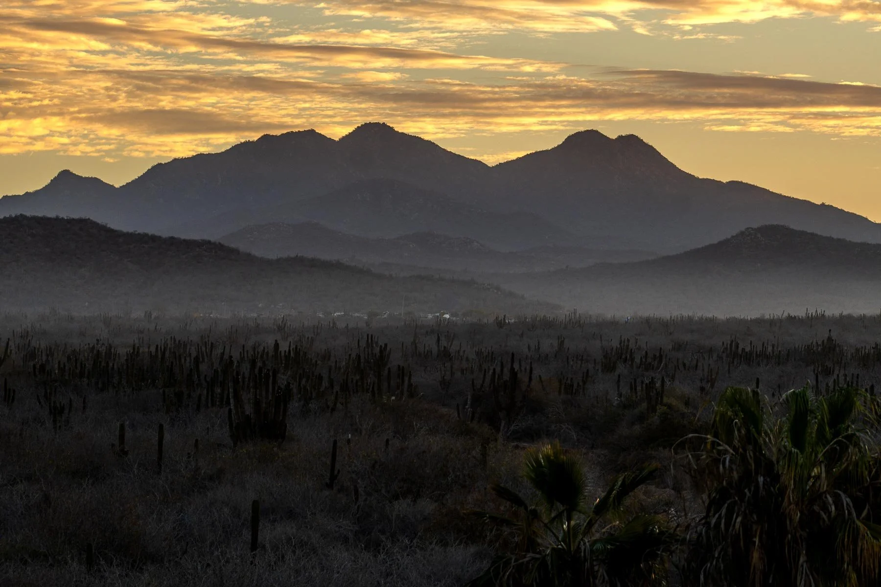 baja california dawn.jpg