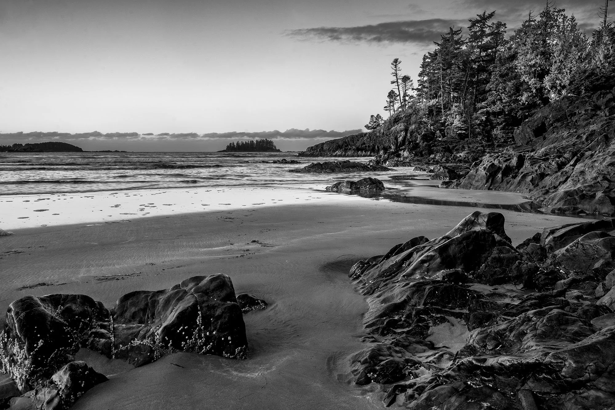 Mckenzie beach.jpg