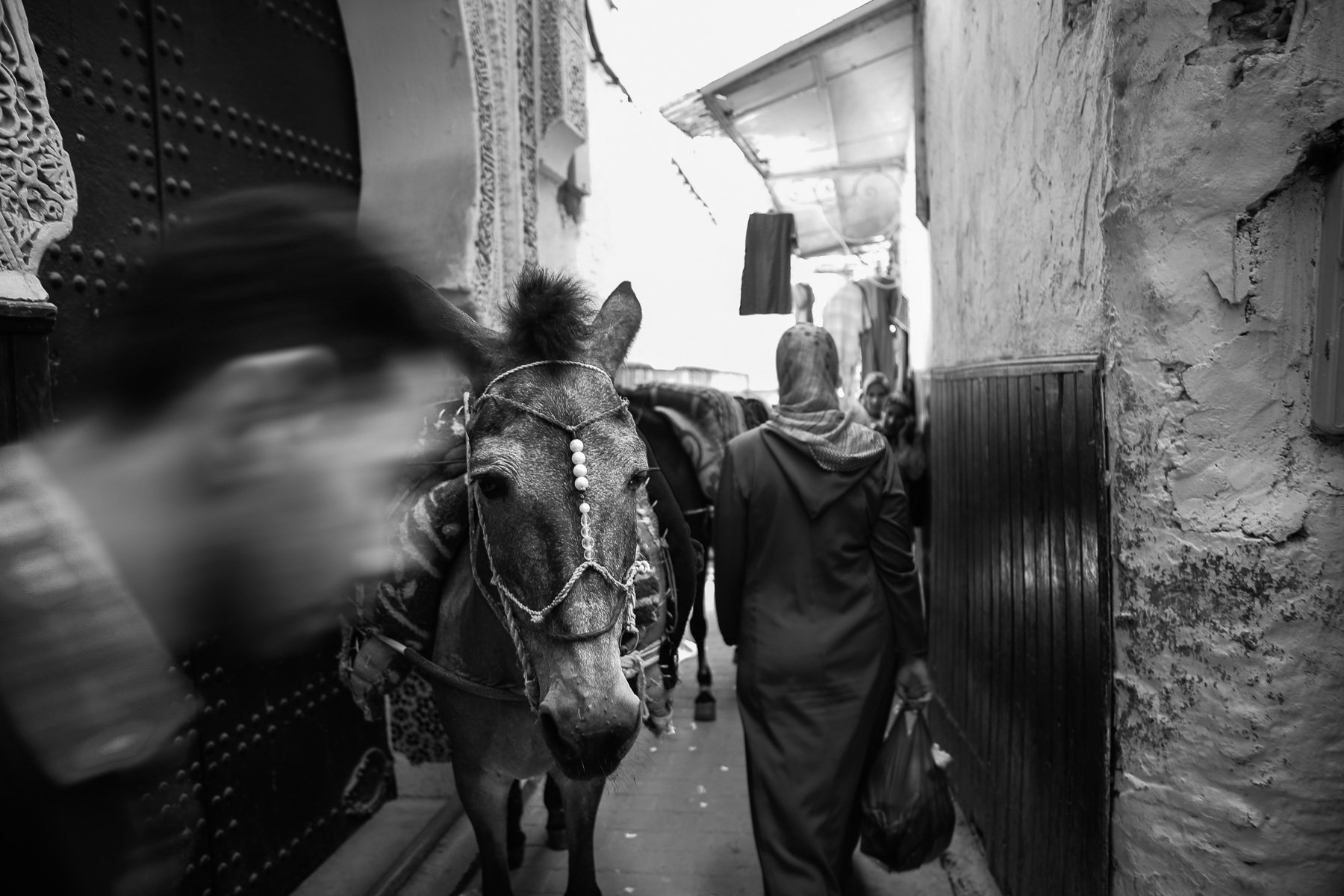 medina transportation.jpg