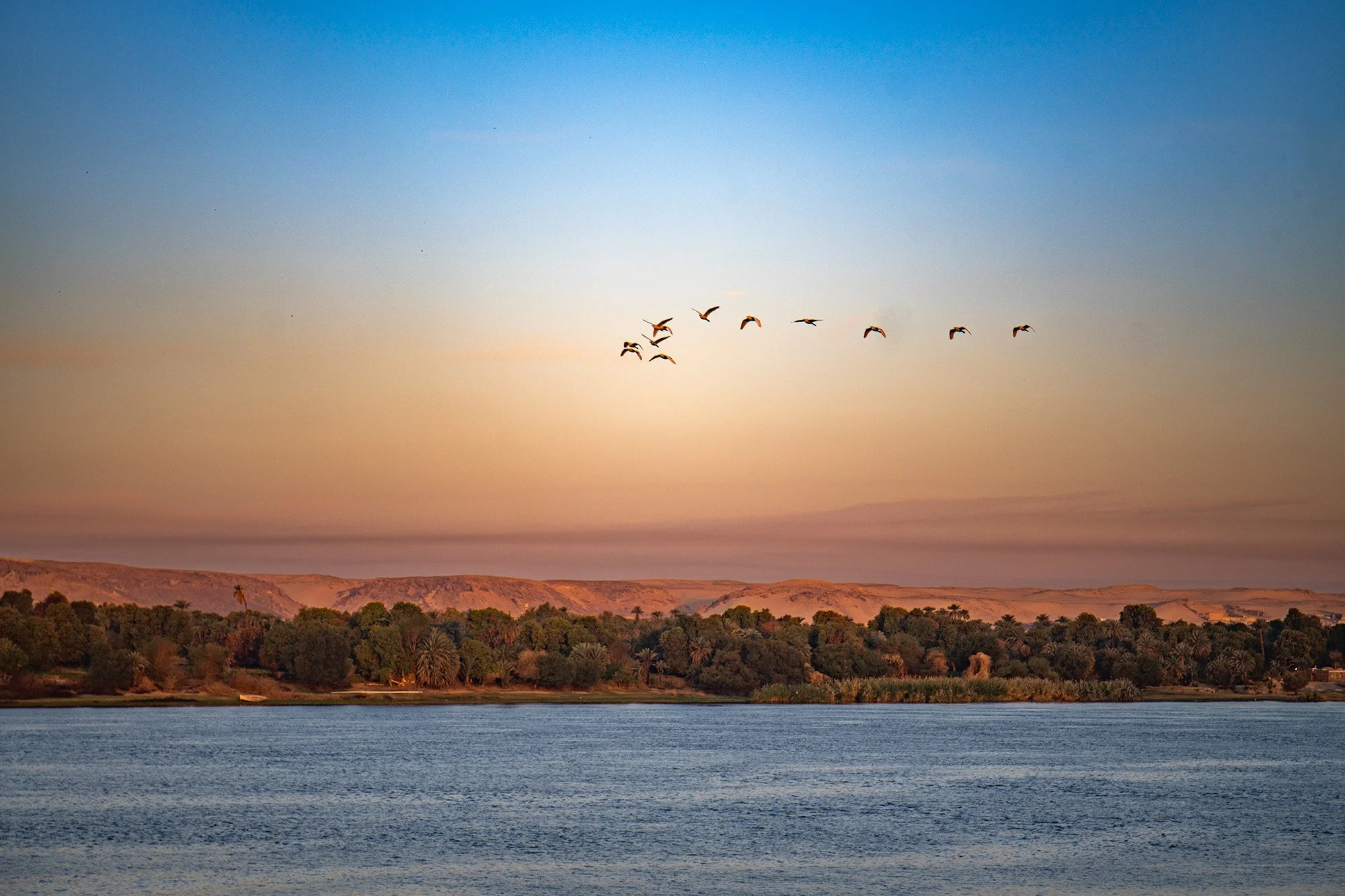 the Nile at sunset.jpg