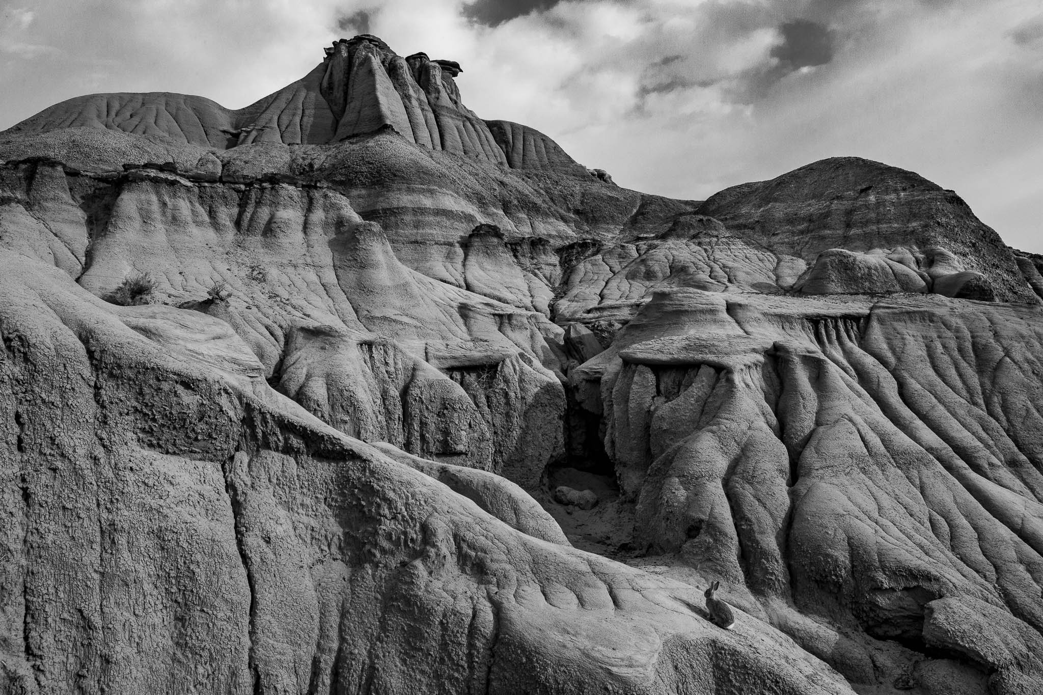 the beauty of the badlands-3.jpg