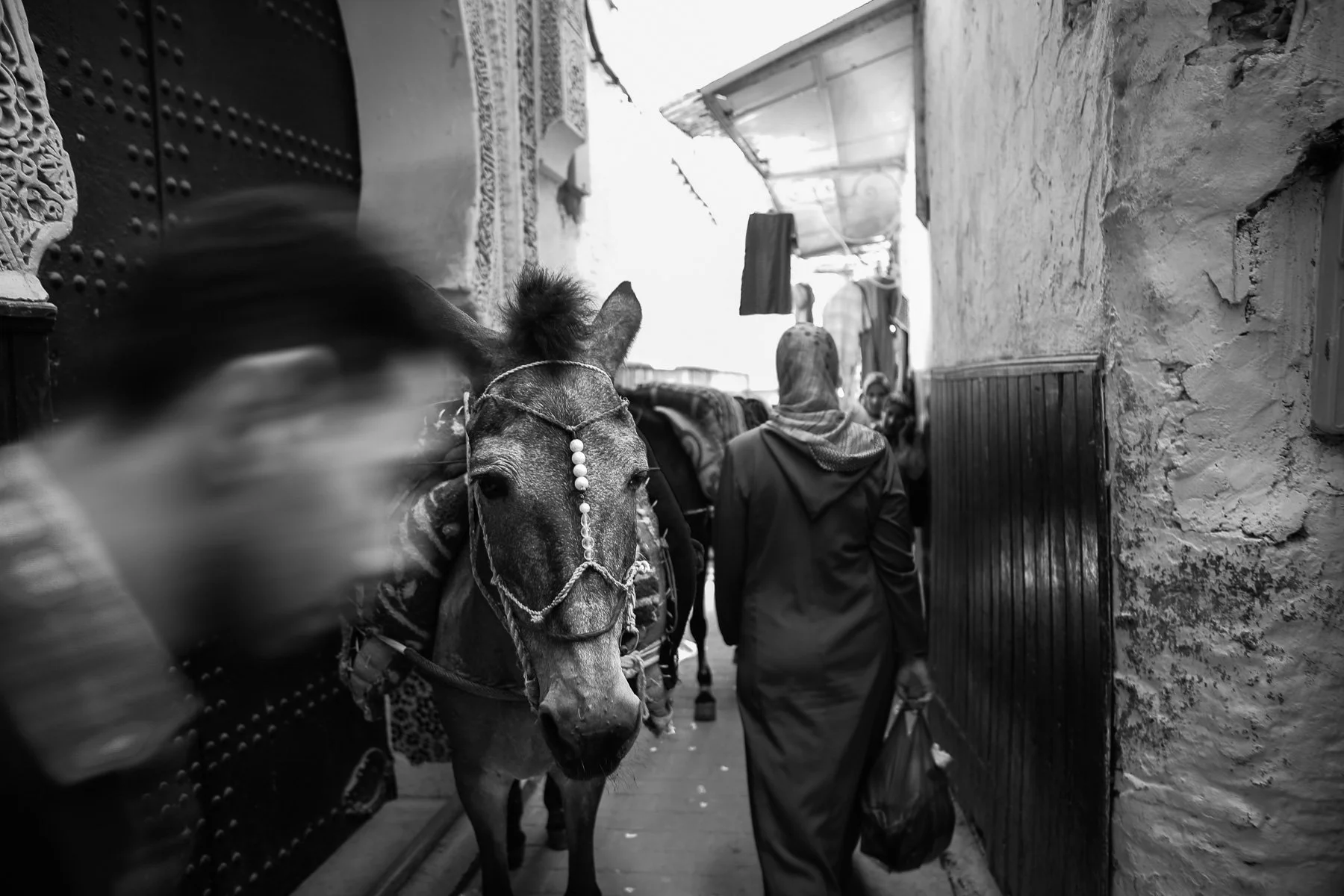 medina transportation.jpg