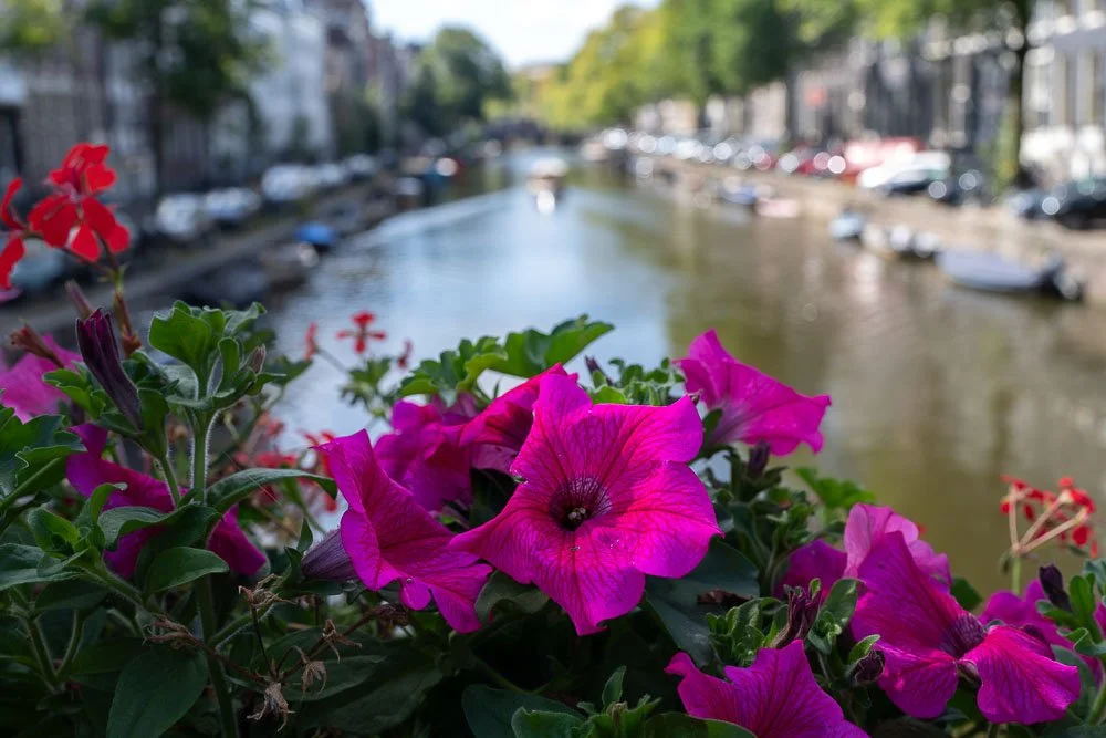 Amsterdam canal-77.jpg