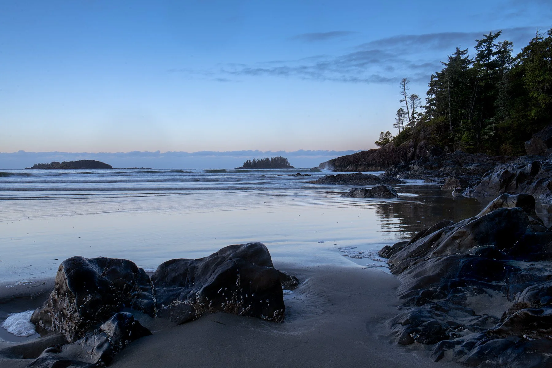 dawn on the pacific.jpg