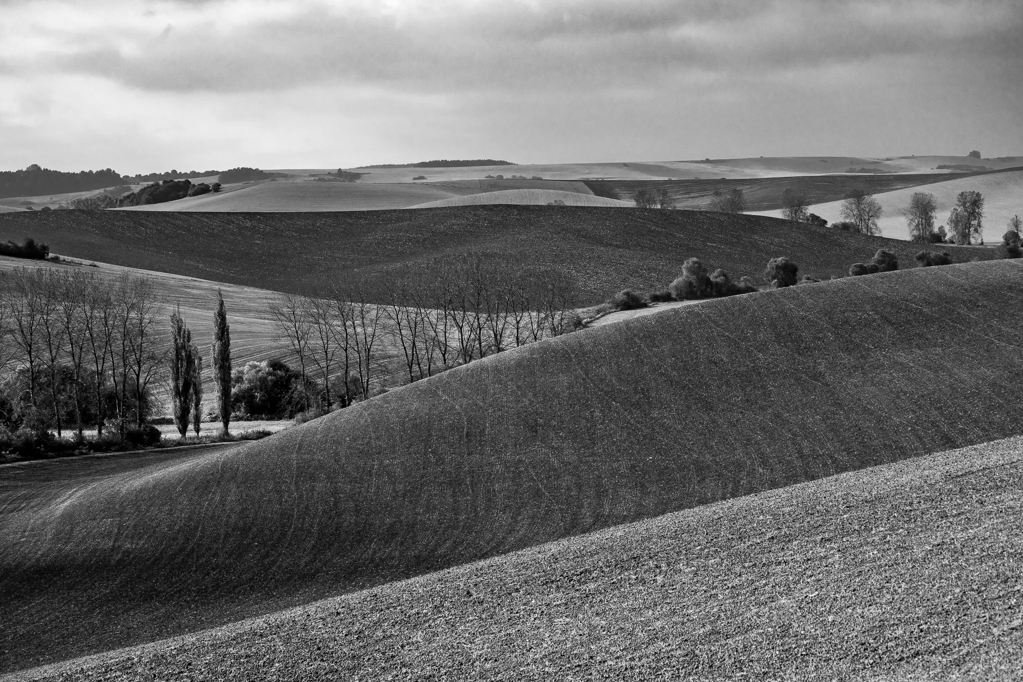 shades of autumn 2.jpg