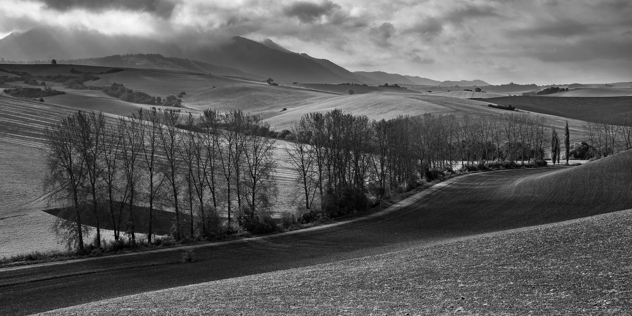 shades of autumn.jpg