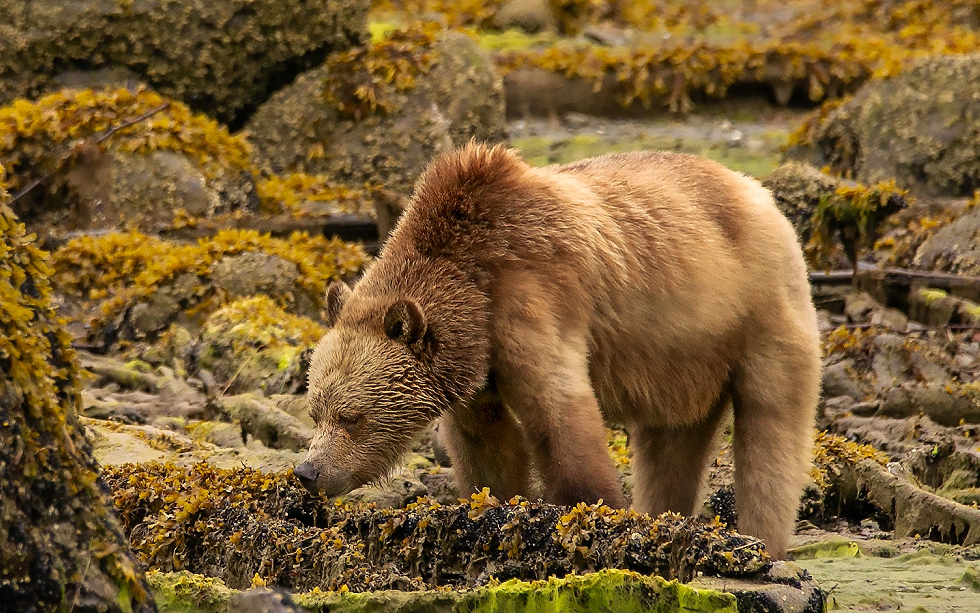 seafood breakfast.jpg