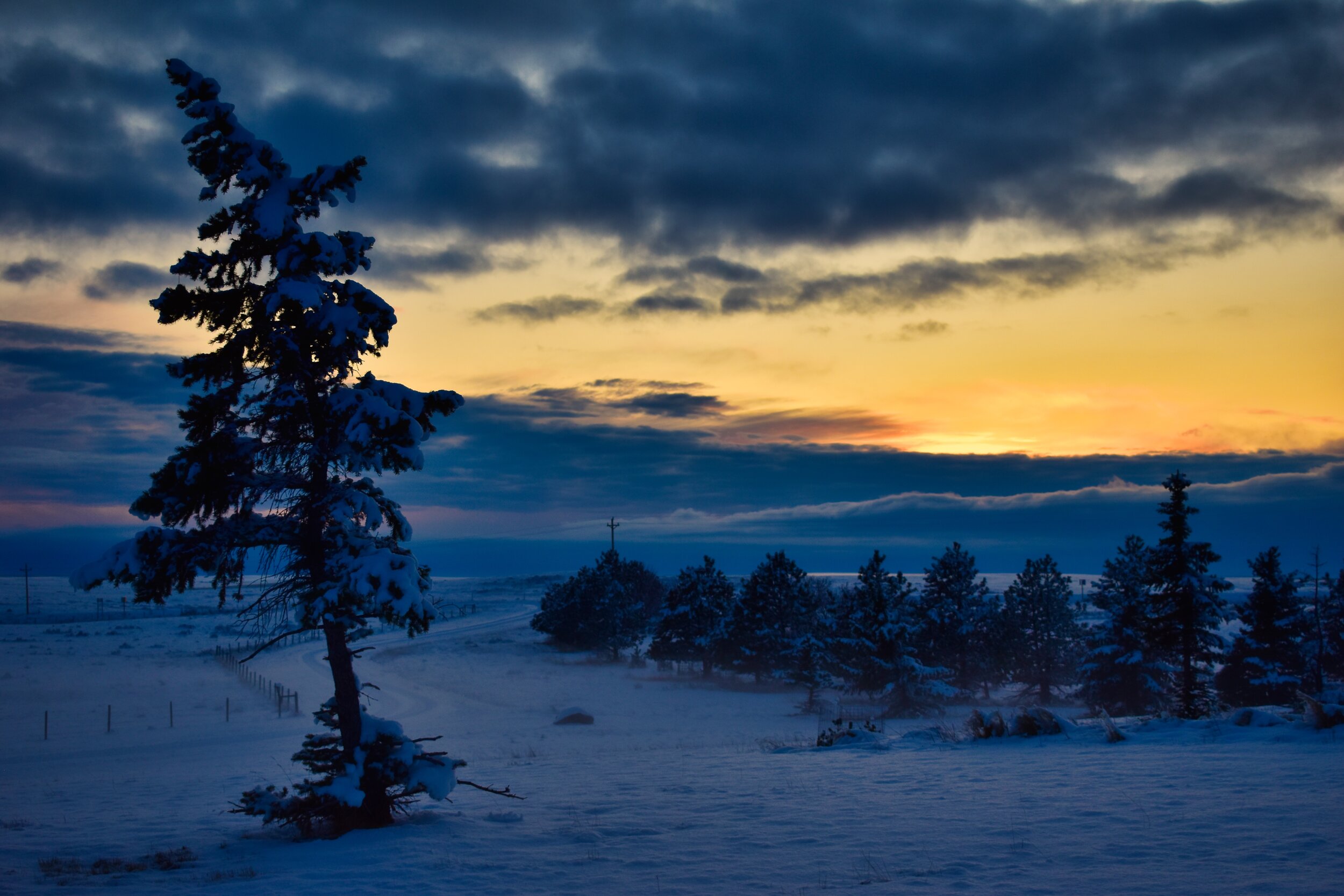 "winter twilight"