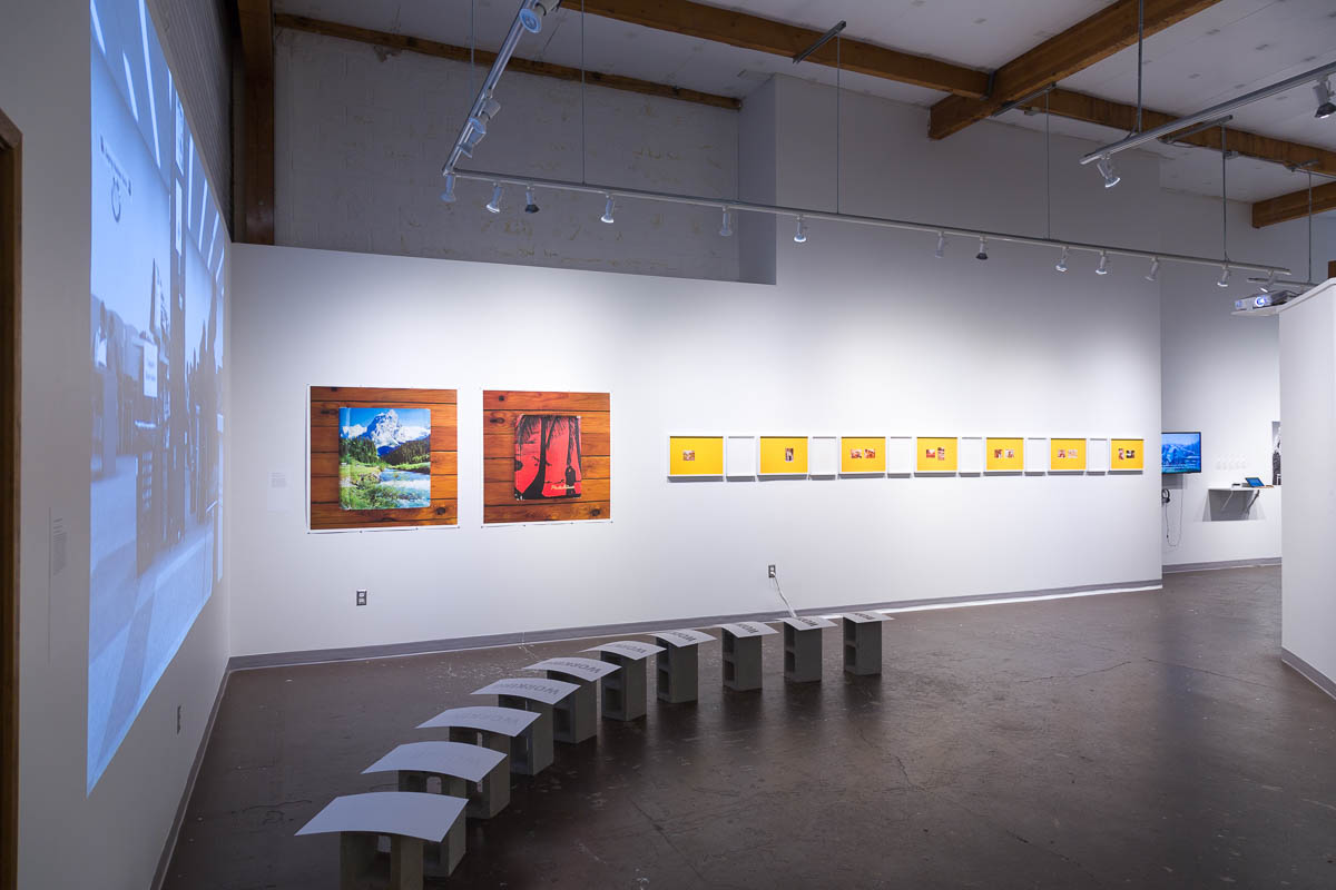 Installation view at Newsapce