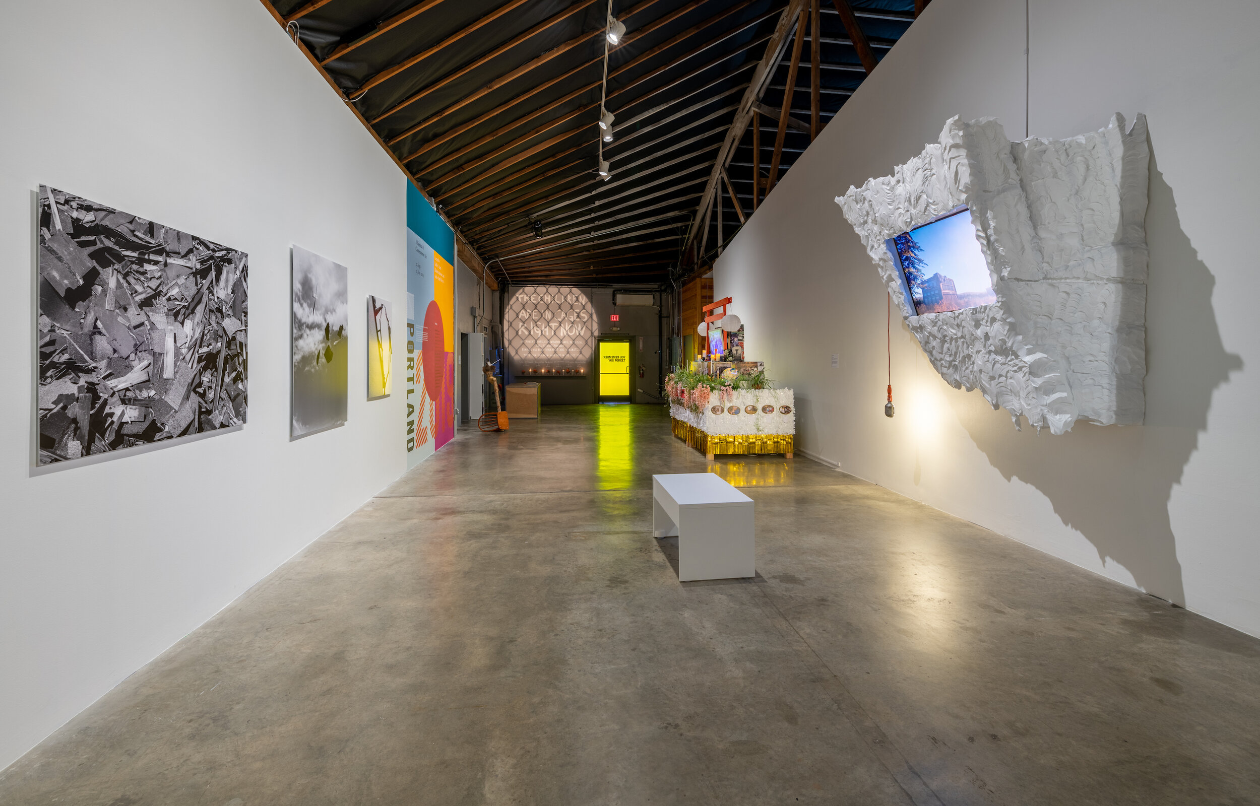 Installation view. Image by Mario Gallucci