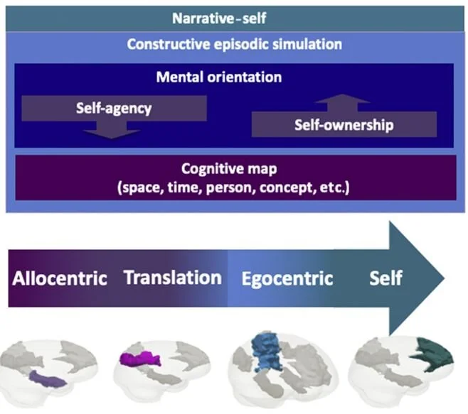 Self-Agency and Self-Ownership in Cognitive Mapping