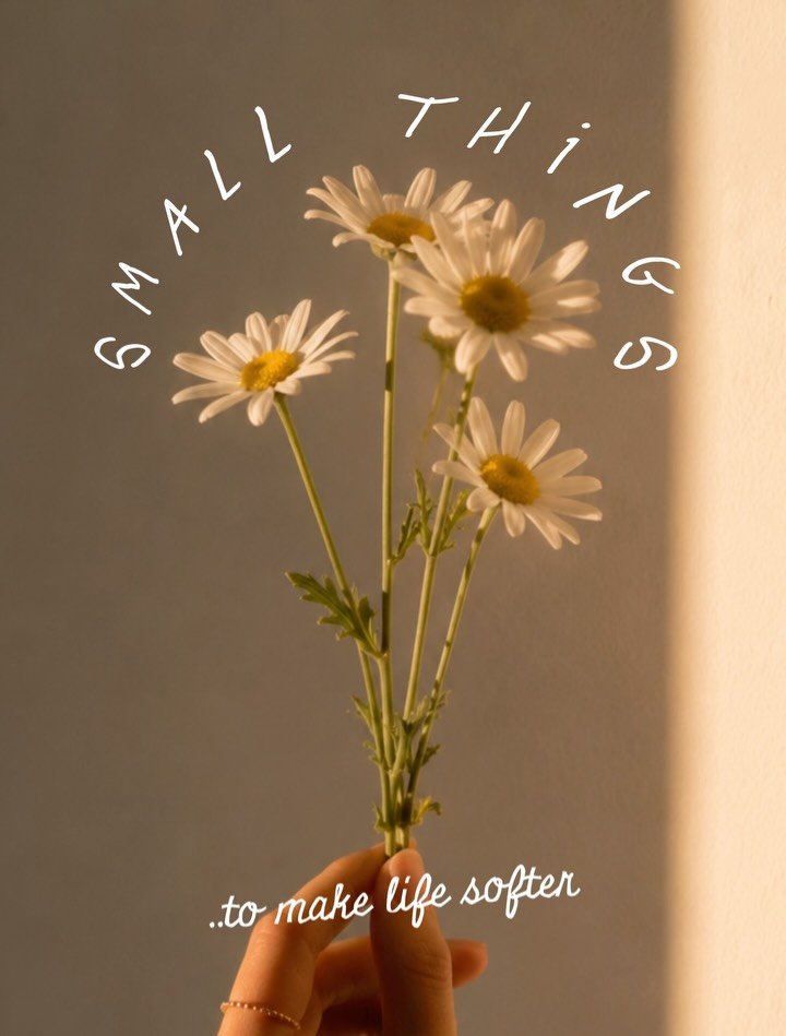 for homes that feel like sanctuaries ♡