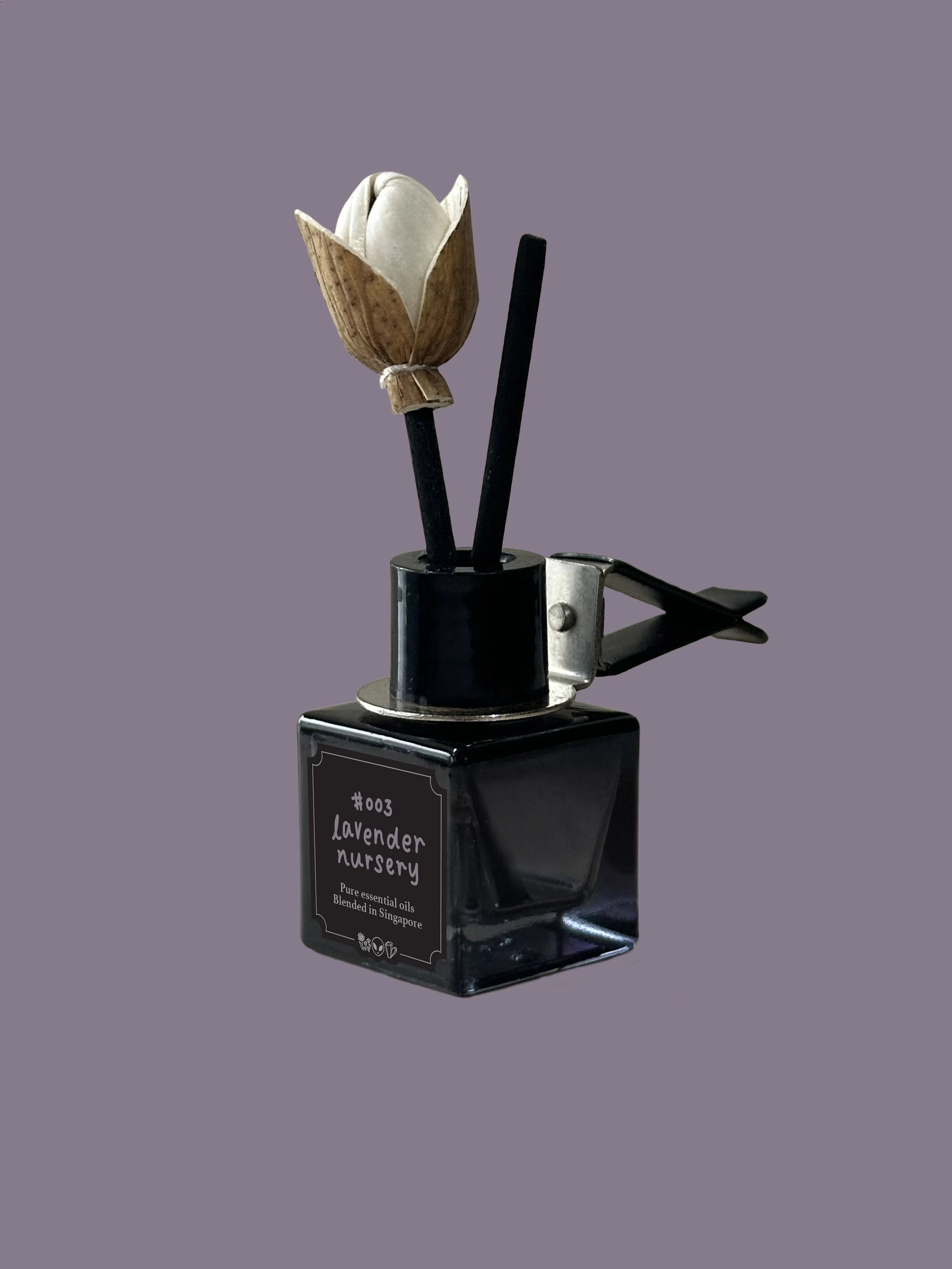 003-a-car-diffuser.jpg