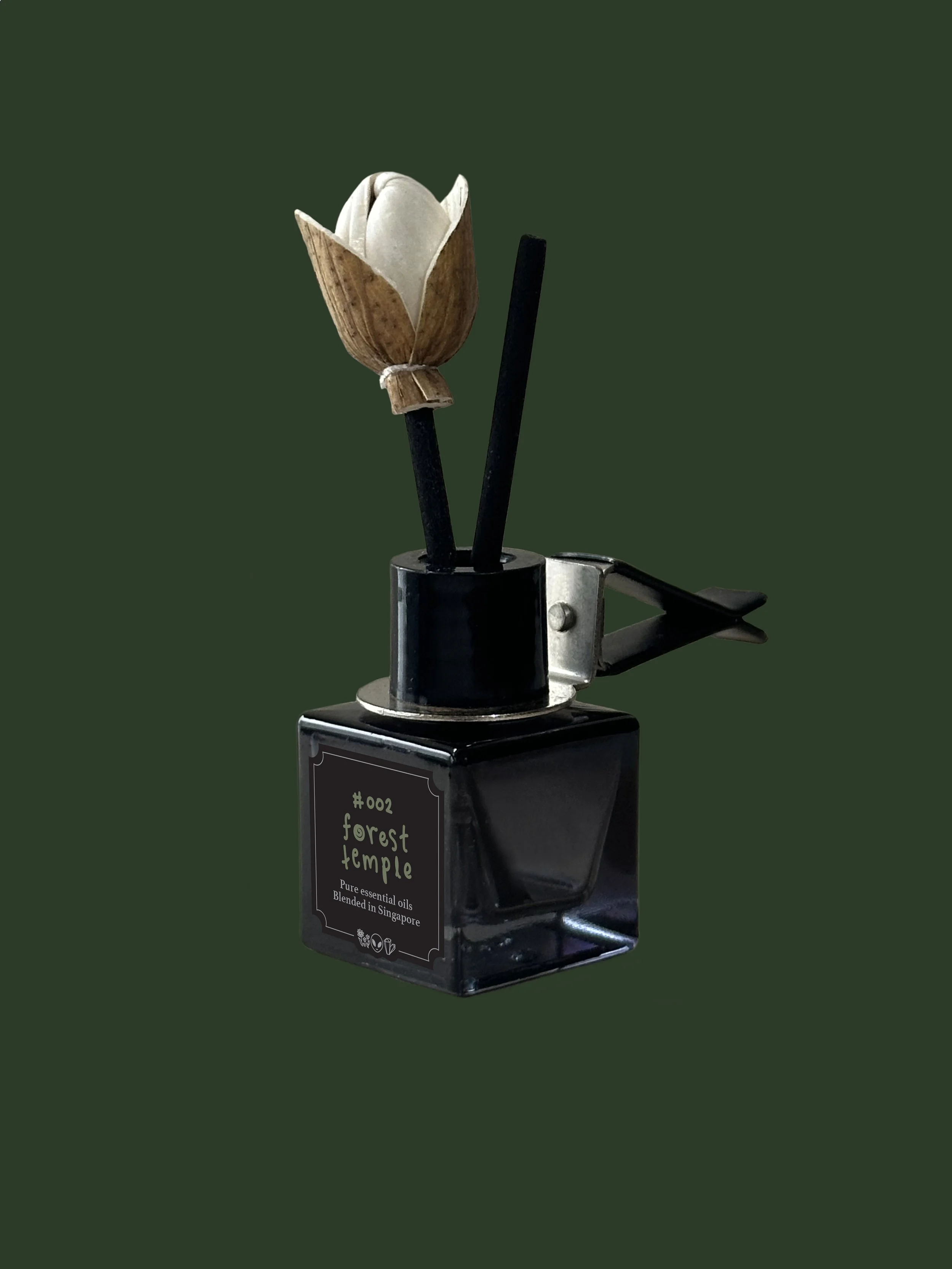 002-a-car-diffuser.jpg