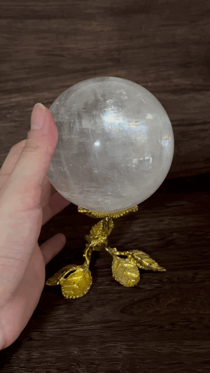 IMG_6351-ezgif.com-optimize (1).gif