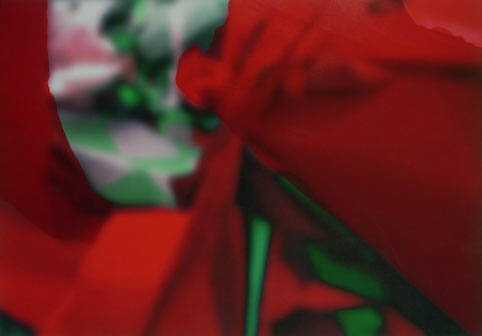 Extract II, oil on inkjet print on aliminium, 51cm x 61cm, 2007