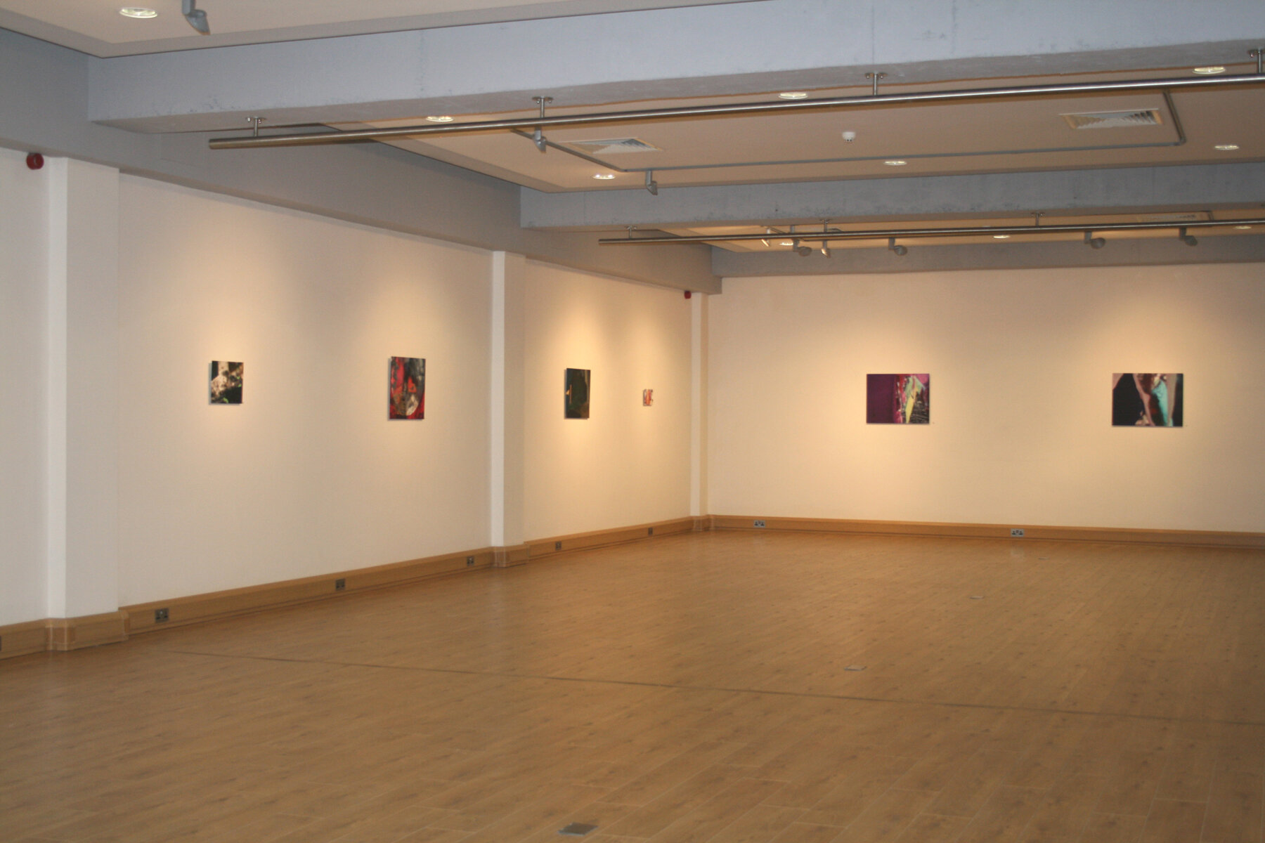   Altered Reality , Installation image,  2010 