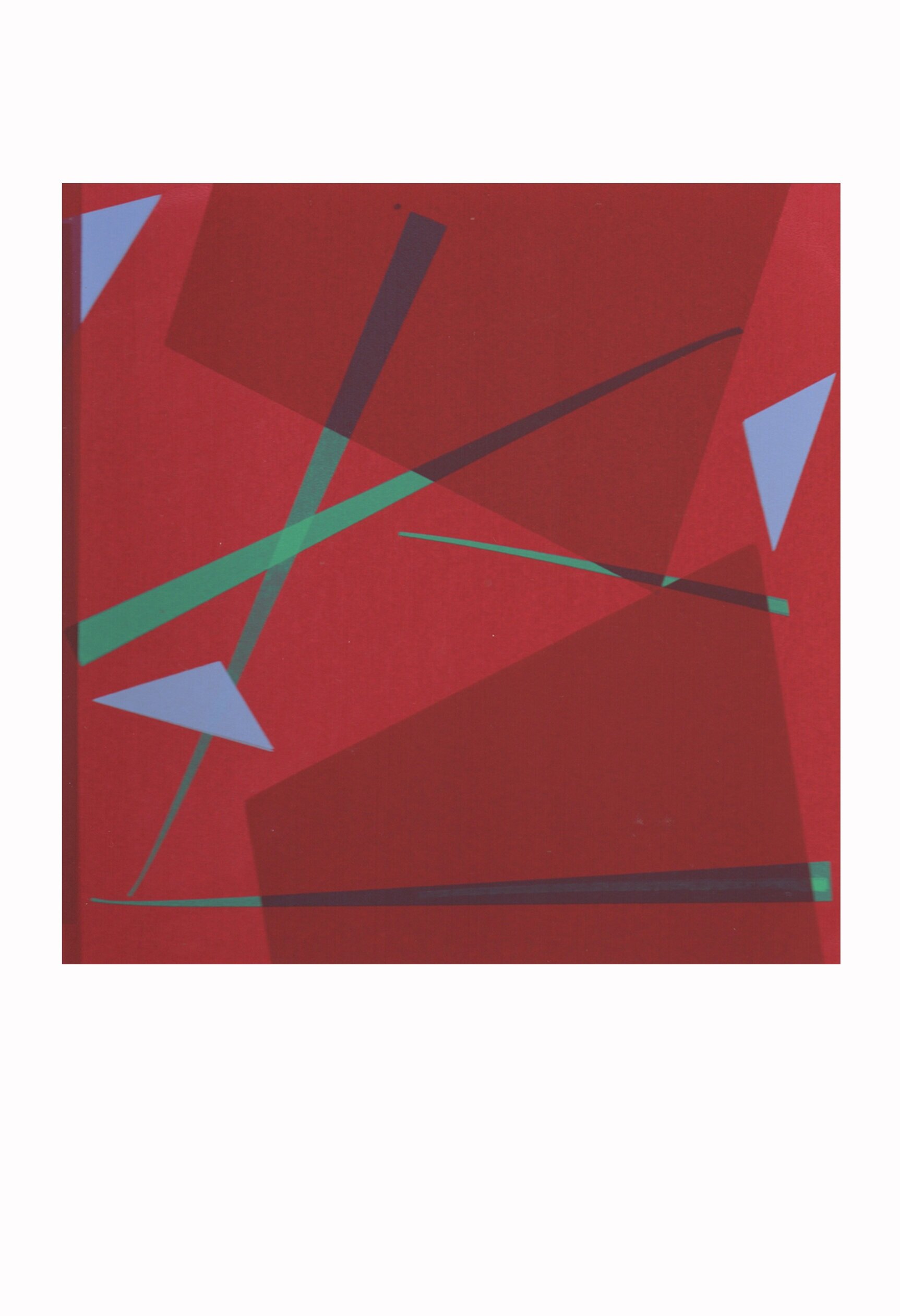   Meshwork Series , screenprint, 32cm x 45cm, 2019, (Private Collection).  