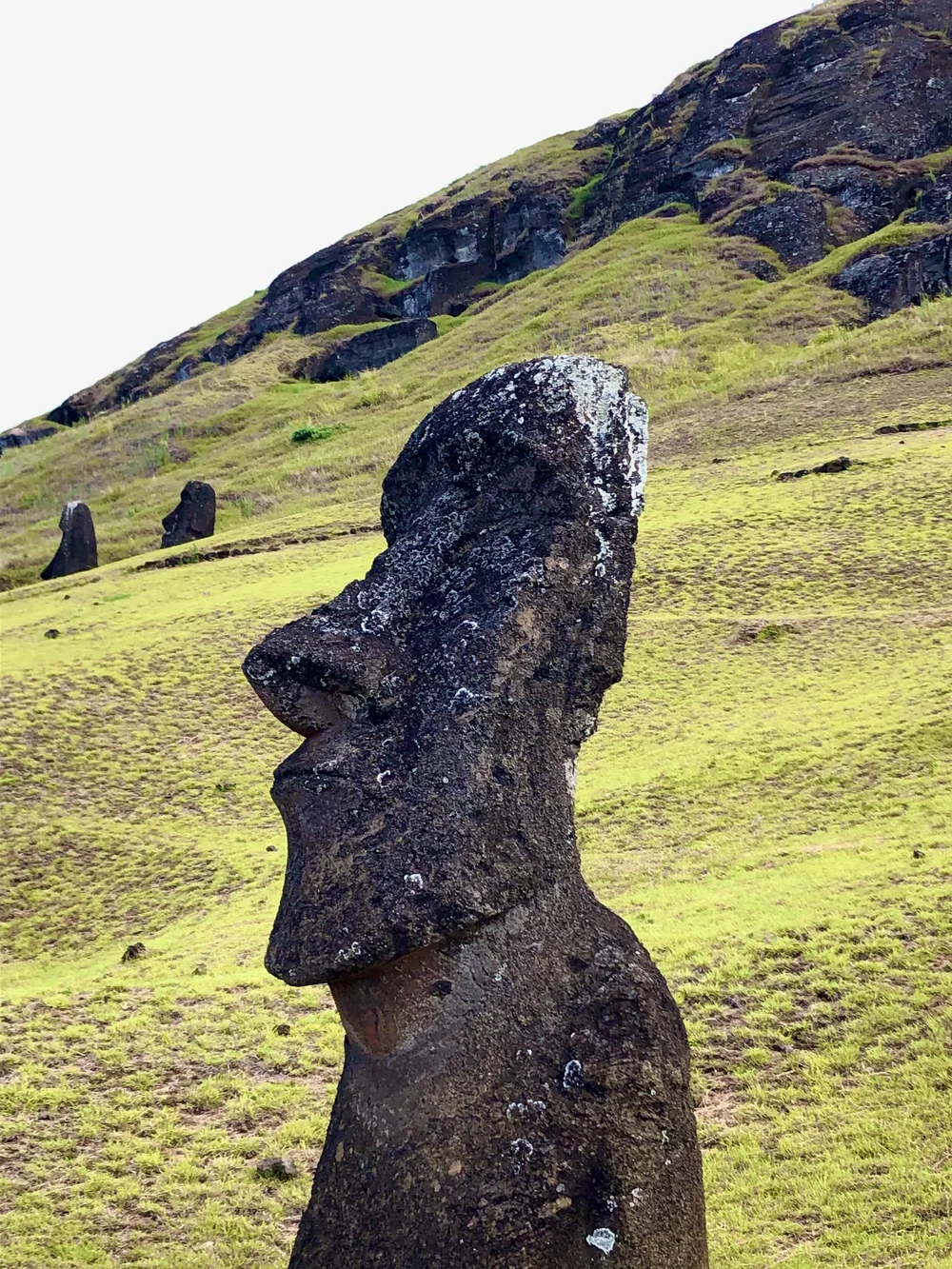 Rapa Nui (Easter Island) — Beasts Who Wander, image size:1000x1333
