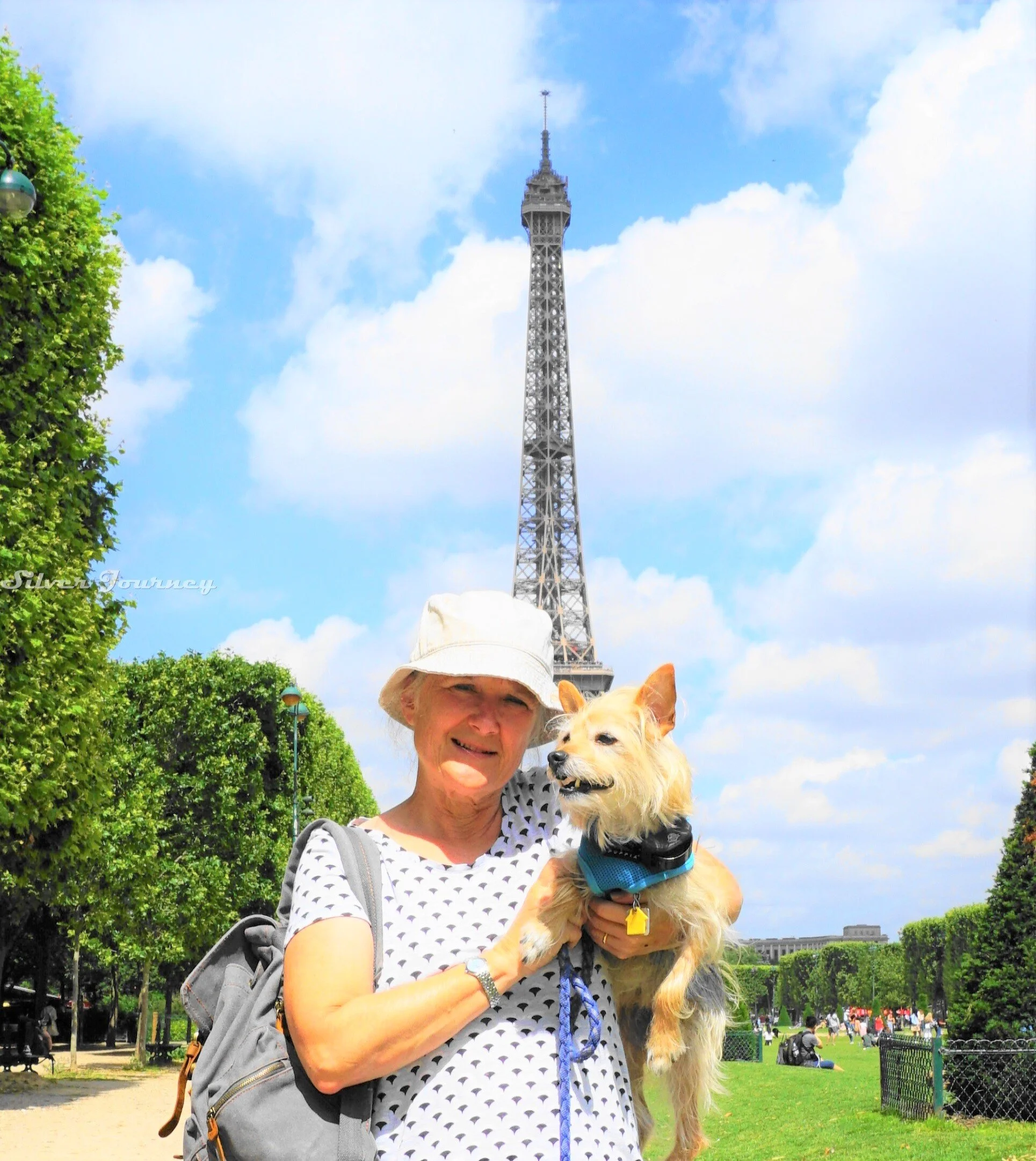 How To Travel With A Dog To Europe — A Silver Journey