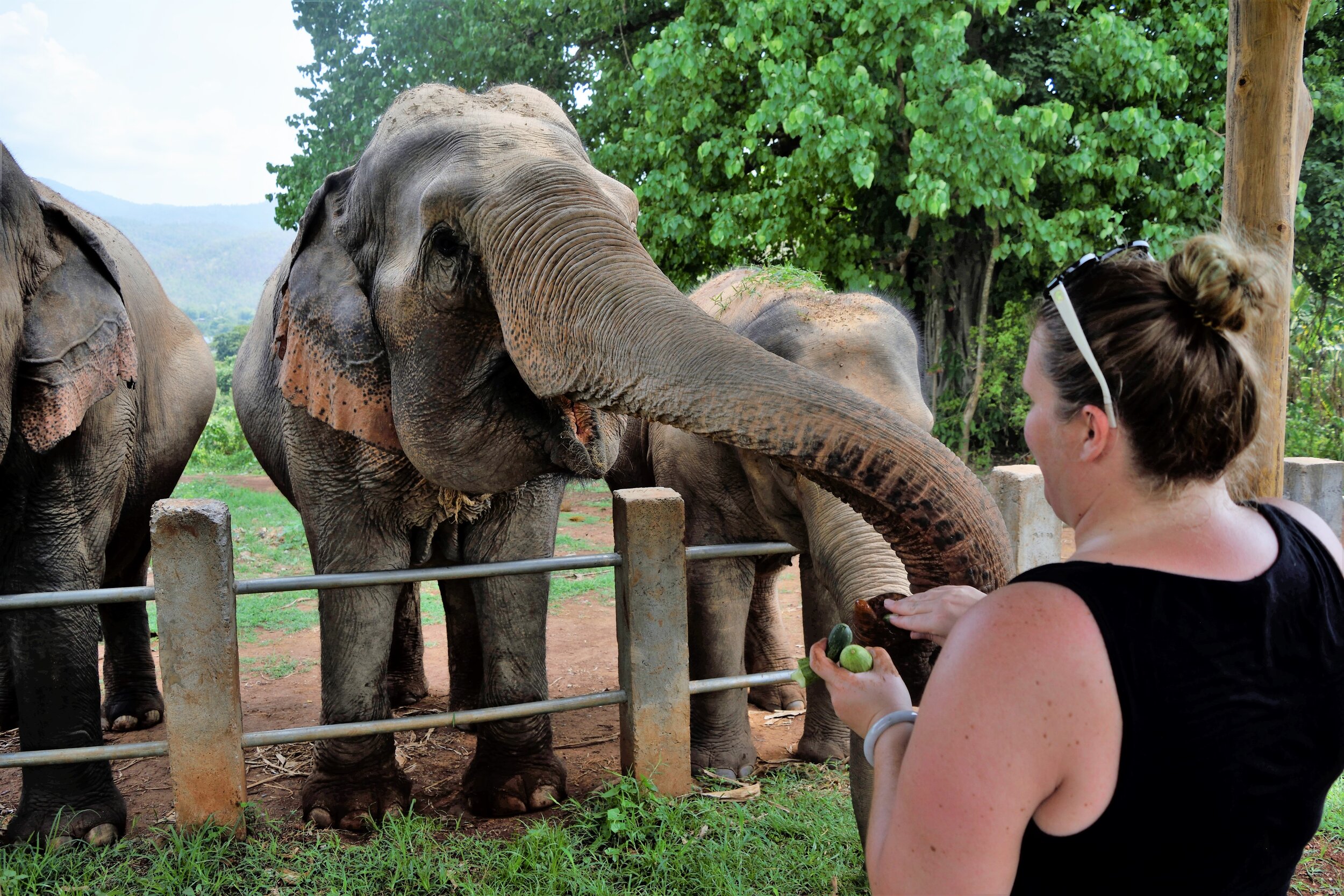 Thailand_005[2305843009228861240].JPG