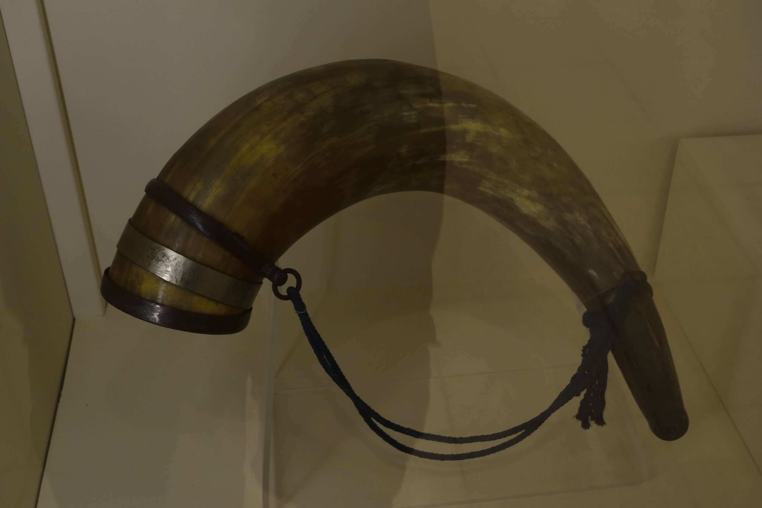 Drinking Horn