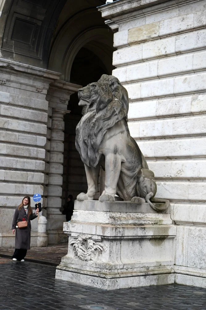 Lion at Buda Castle