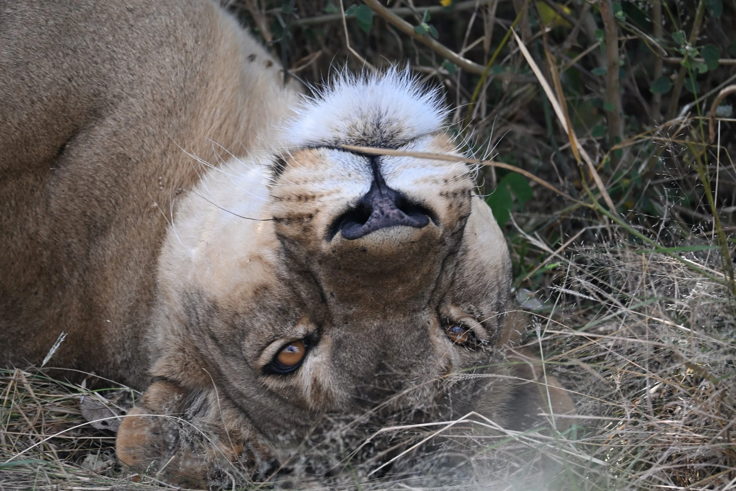 DSC_1526.JPG