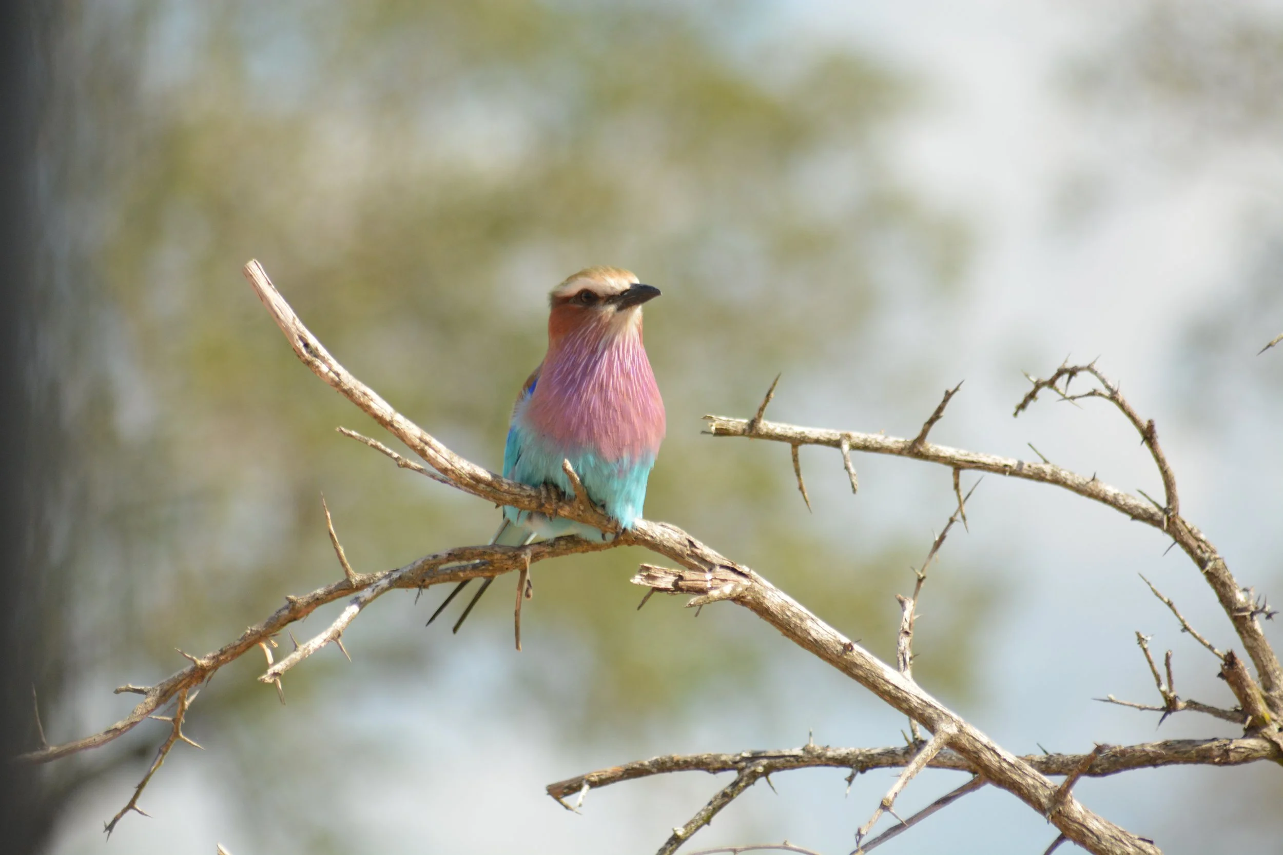 DSC_5903.JPG