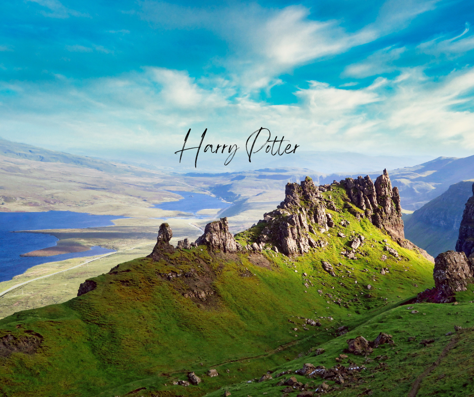  If You Loved Harry Potter Go Here...