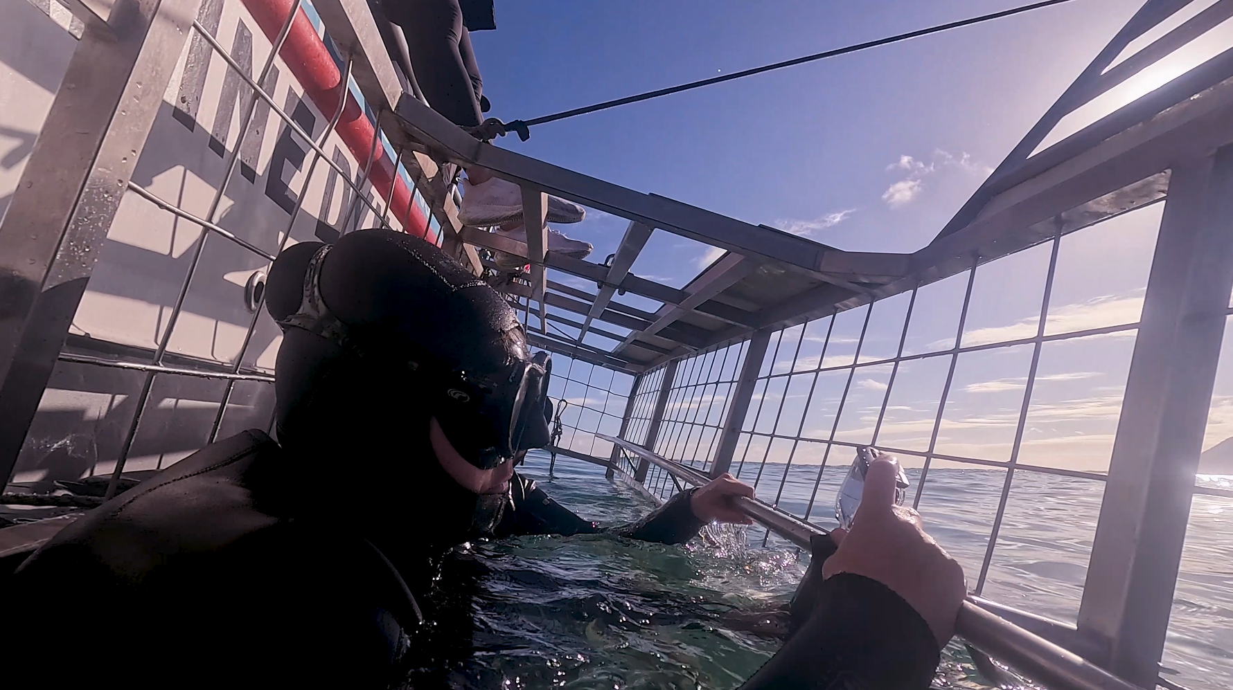 Some of the Travel With Anne ladies in the shark dive cage