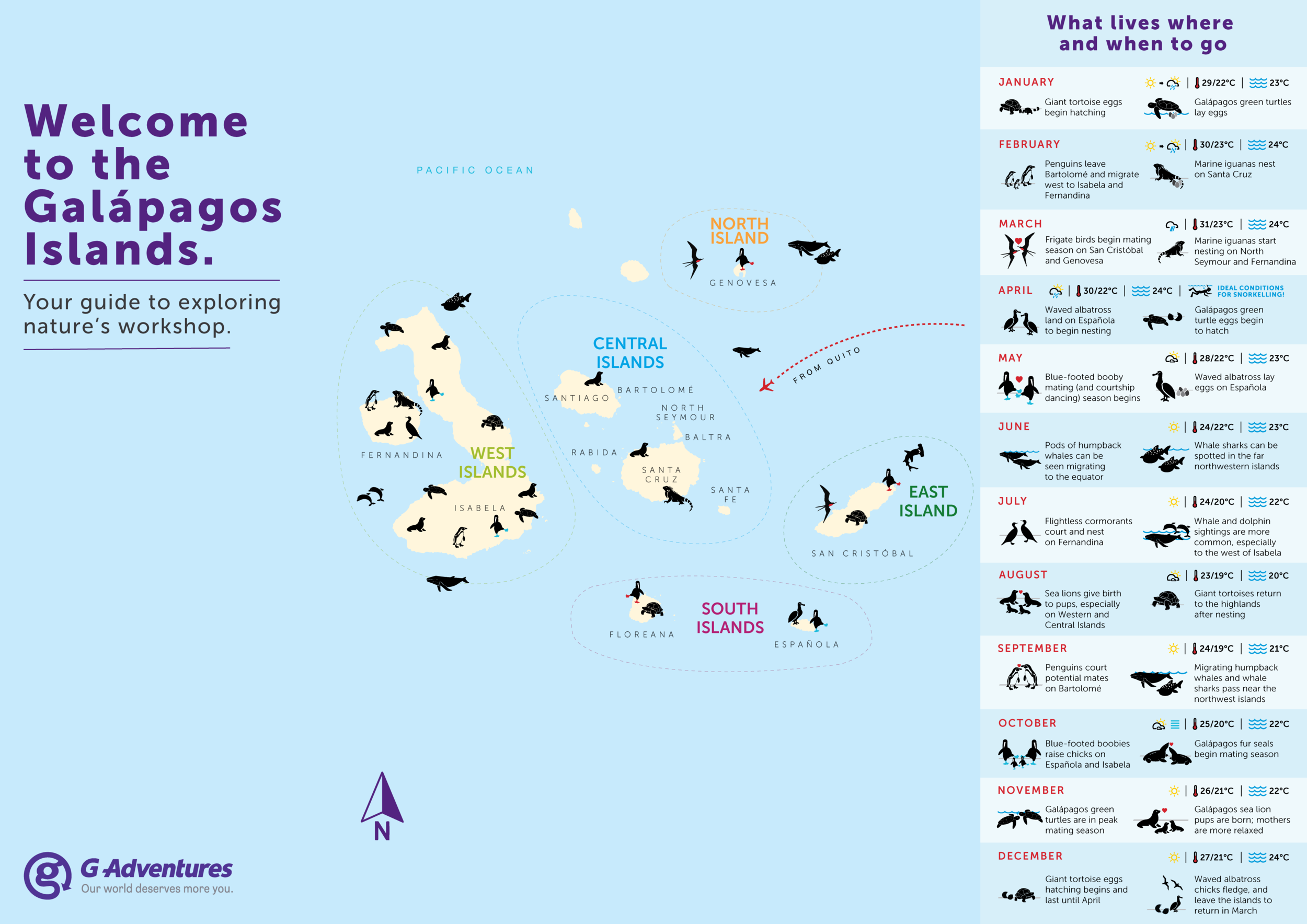 Wildlife in the South and East - 18 337 GL Galapagos Sales Tool Map ConsumerPassalong MapFront (1) 