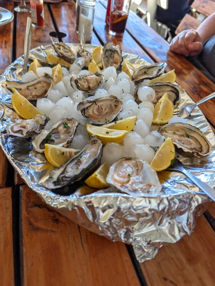 Oysters at Harbourview Restaurants